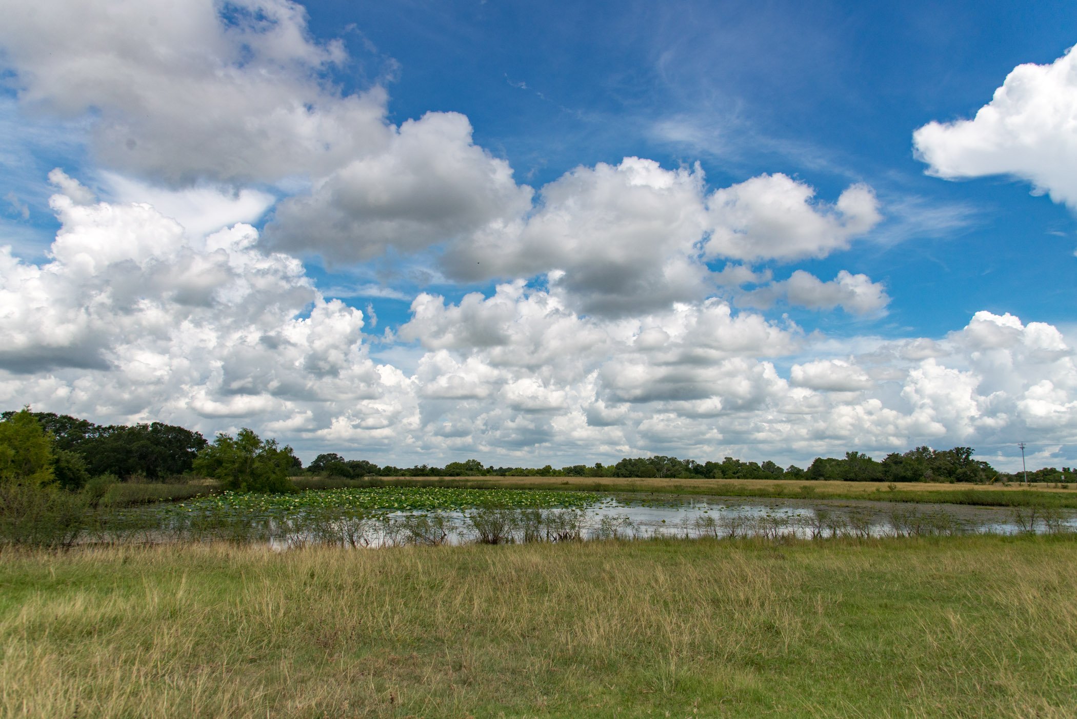 ET_Martinek Farm_Pond_Ramirez (2).jpg