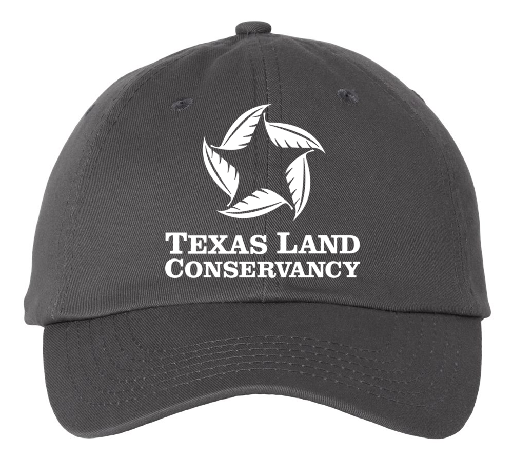 Dad Hat_Charcoal.png