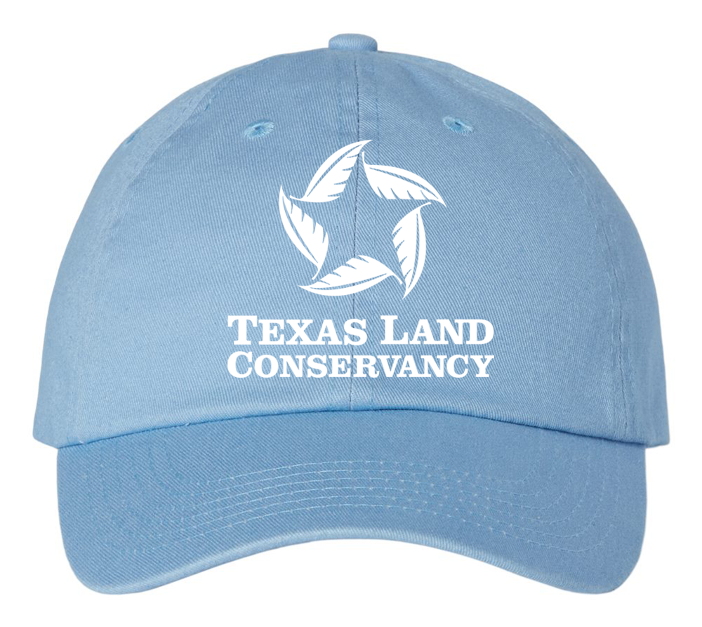 Dad Hat_Sky Blue.png