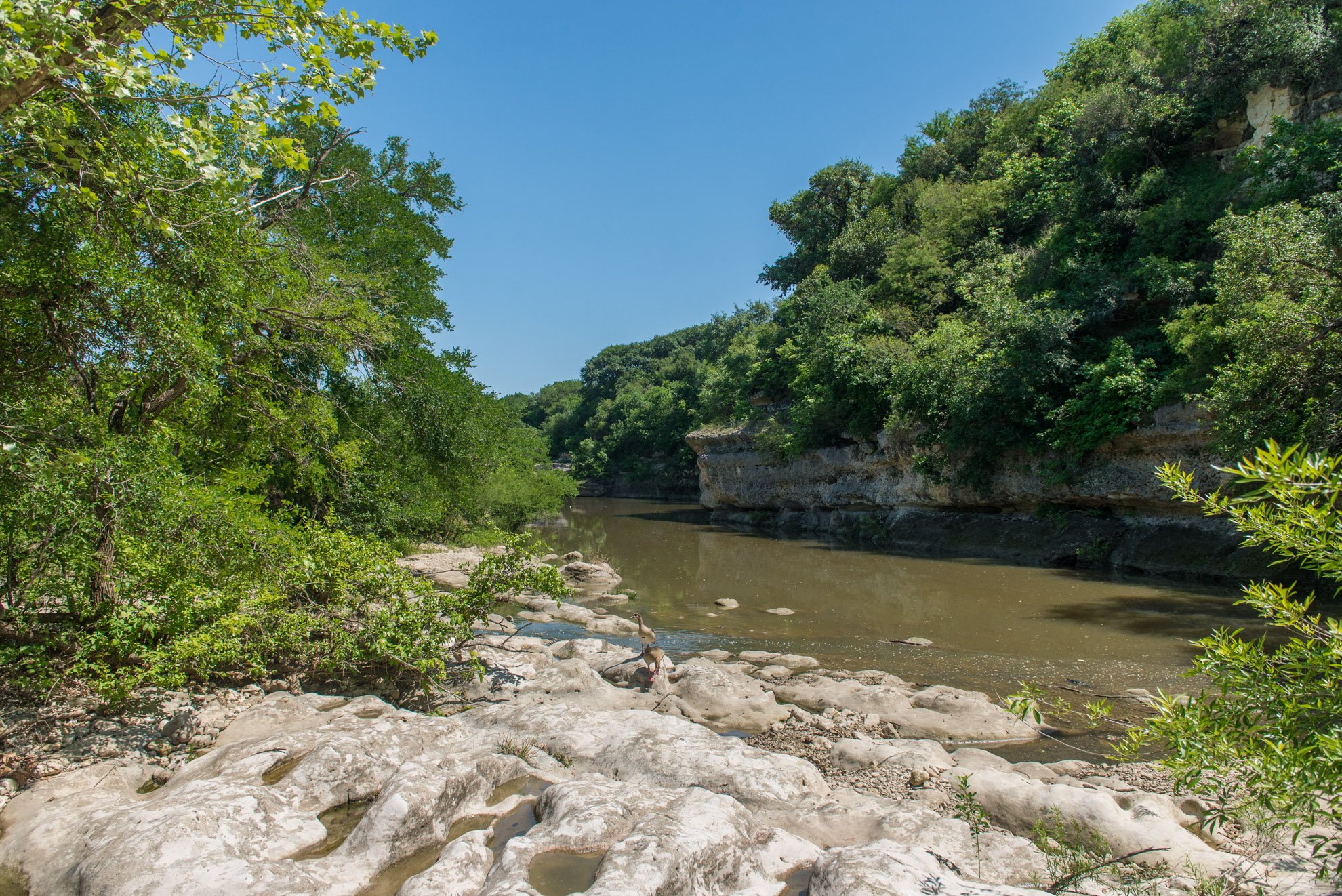 cibolo-creek-preserve-texas-land-conservancy