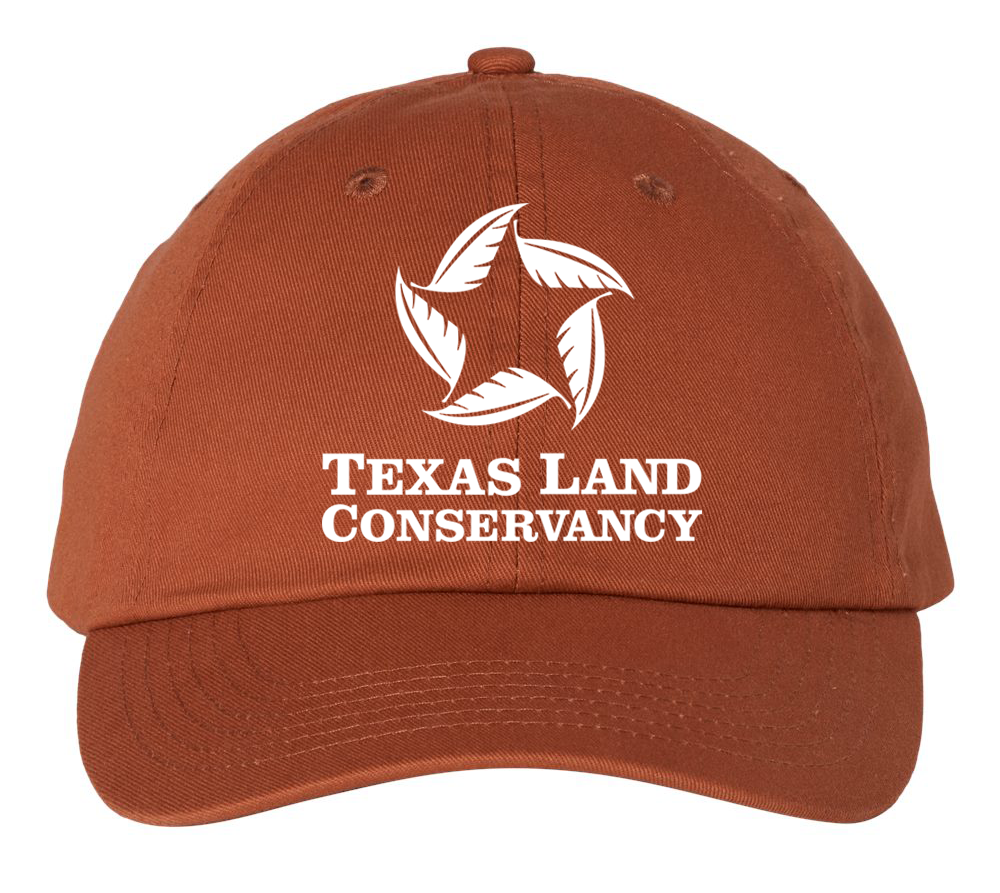 Dad Hat_Texas Organge.png