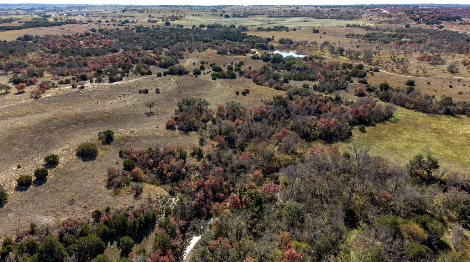 350 More Acres of Rolling Savanna and Riparian Forest Protected Forever