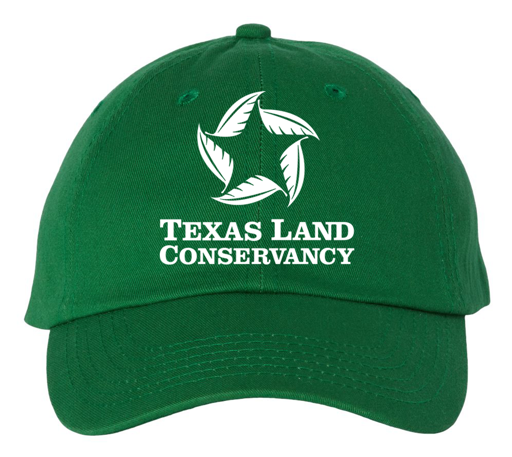 Dad Hat_Kelly Green.png