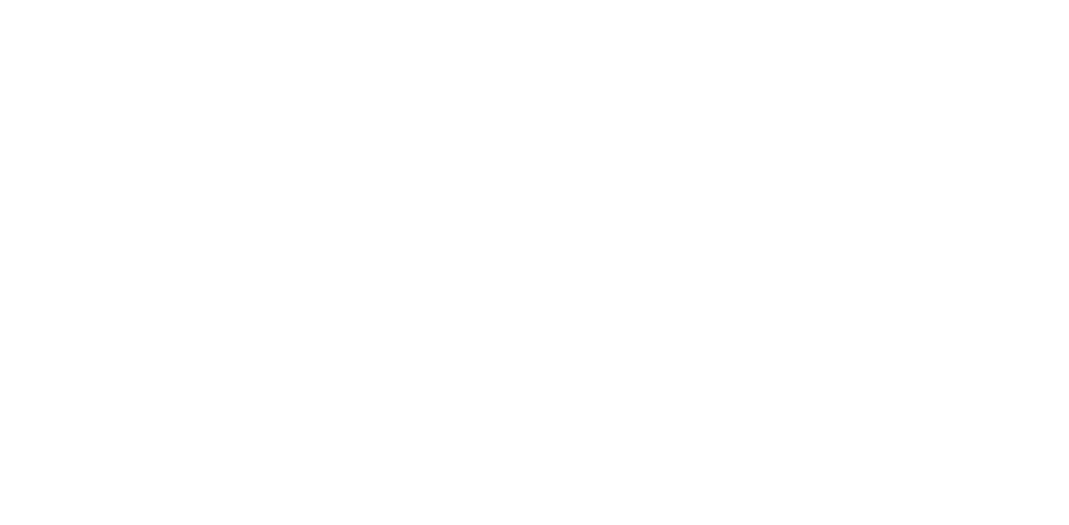 Birddog Workforce Scouting