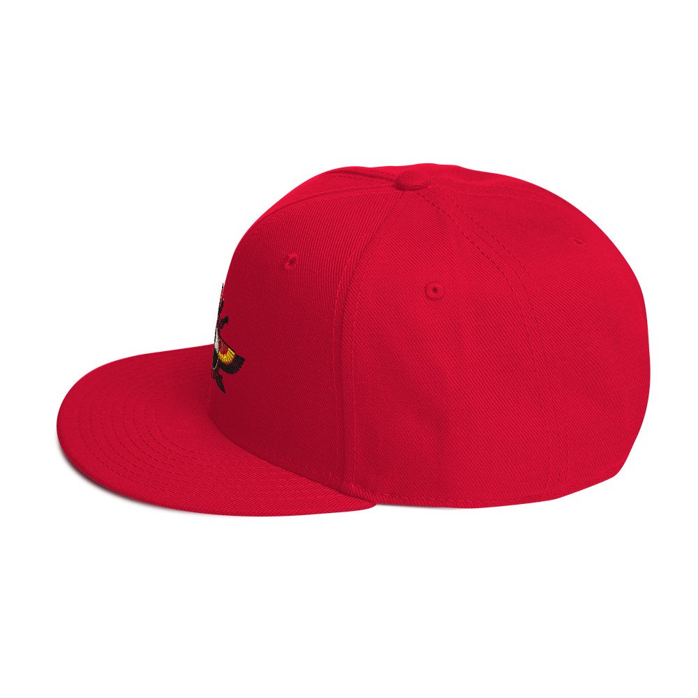 snapback-red-left-side-66630fc7d406a.jpg