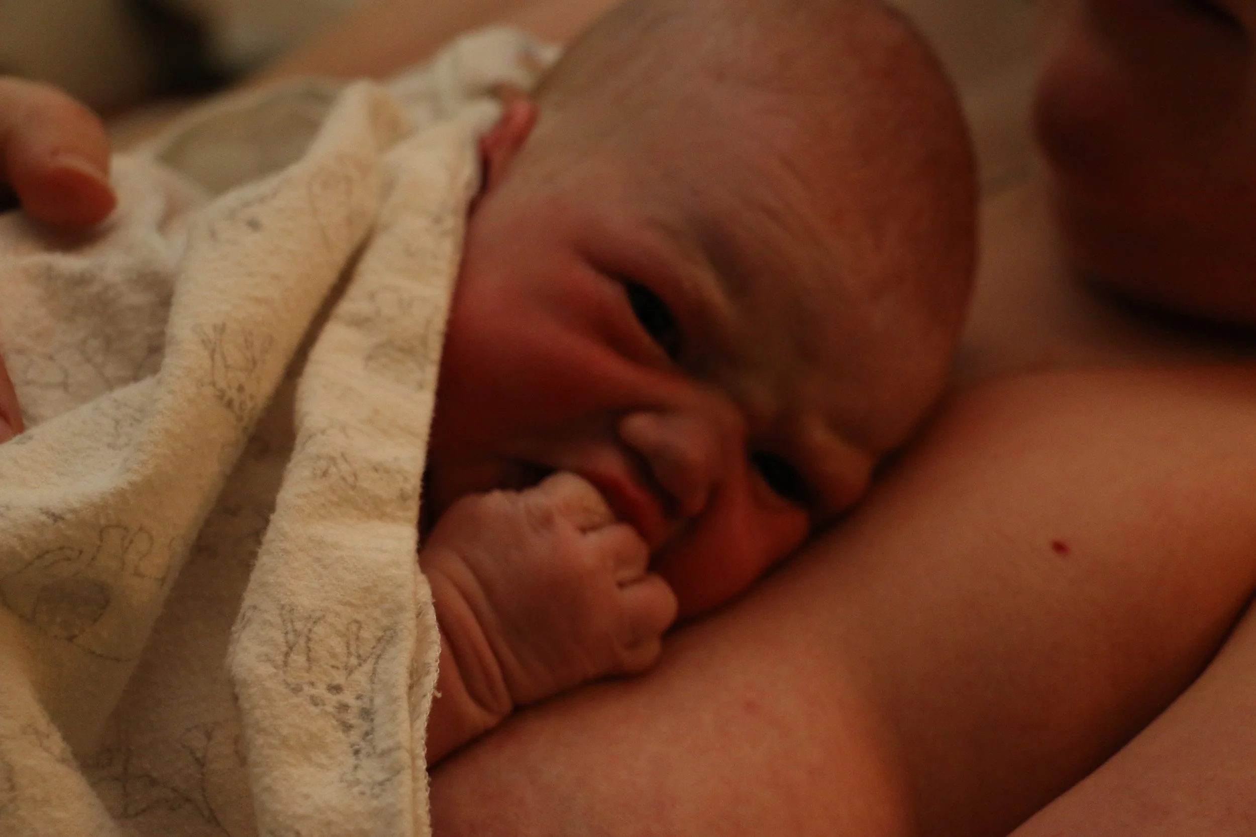 babyonchest.jpg