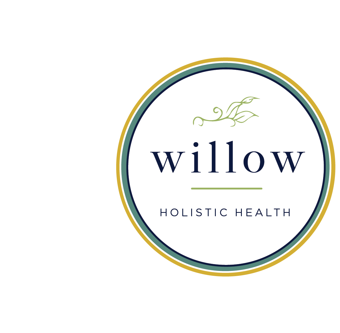 Patient Portals Access Today Simplify Care Willow Wellness Patient portals access today simplify care willow wellness