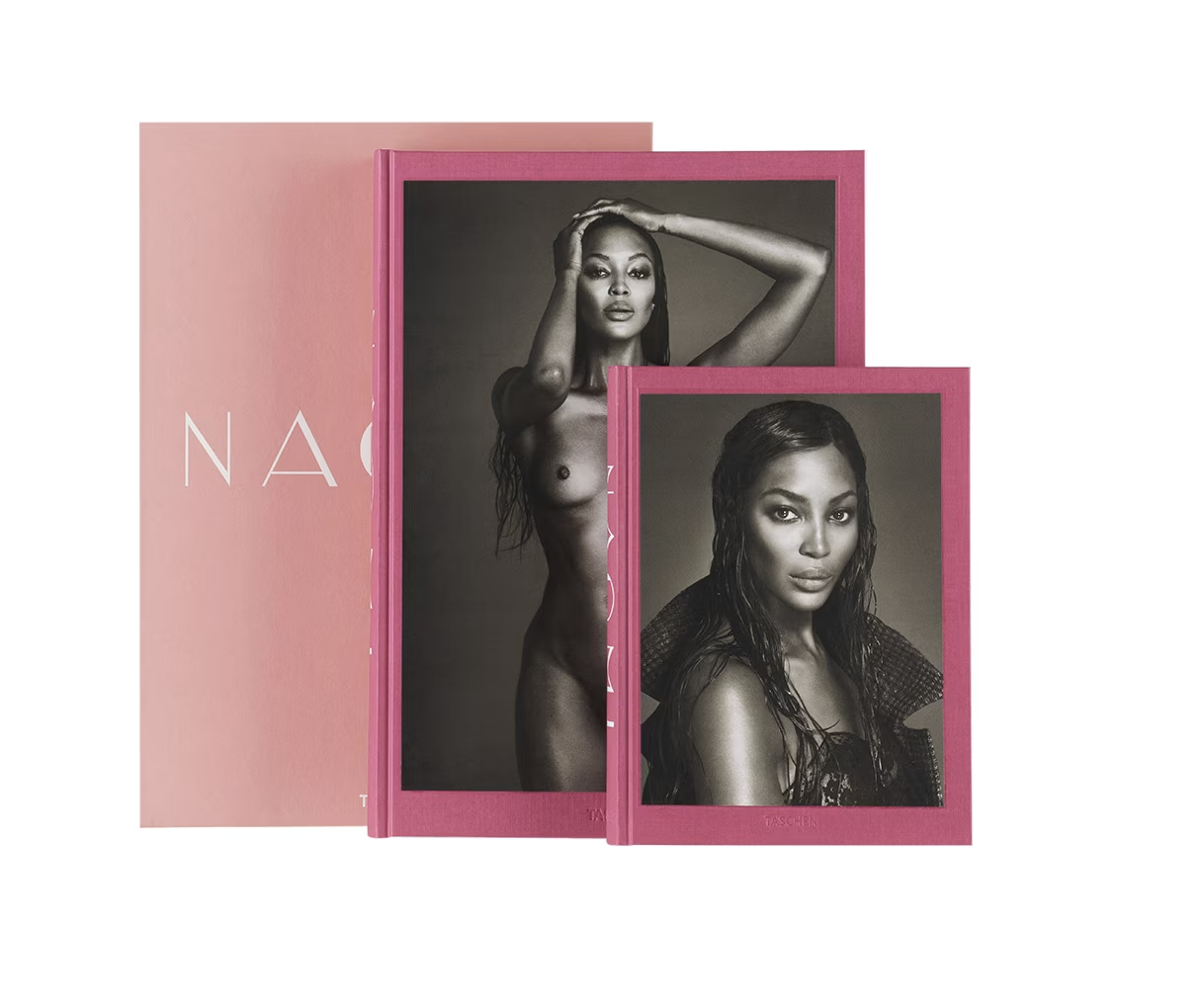 Screen Shot 2024-03-25 at 12.57.19 PM.png