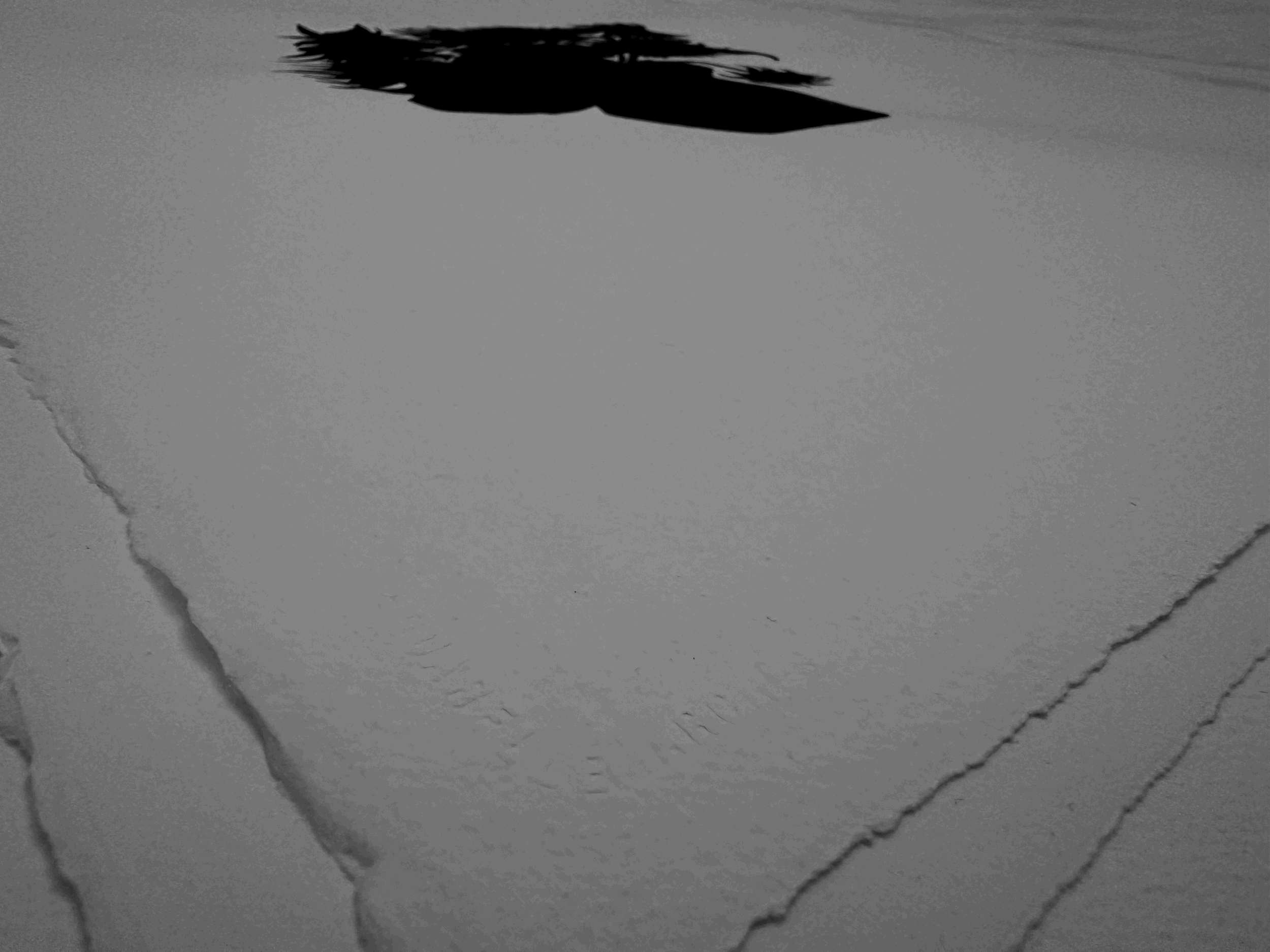 tempImageiUxLun.gif