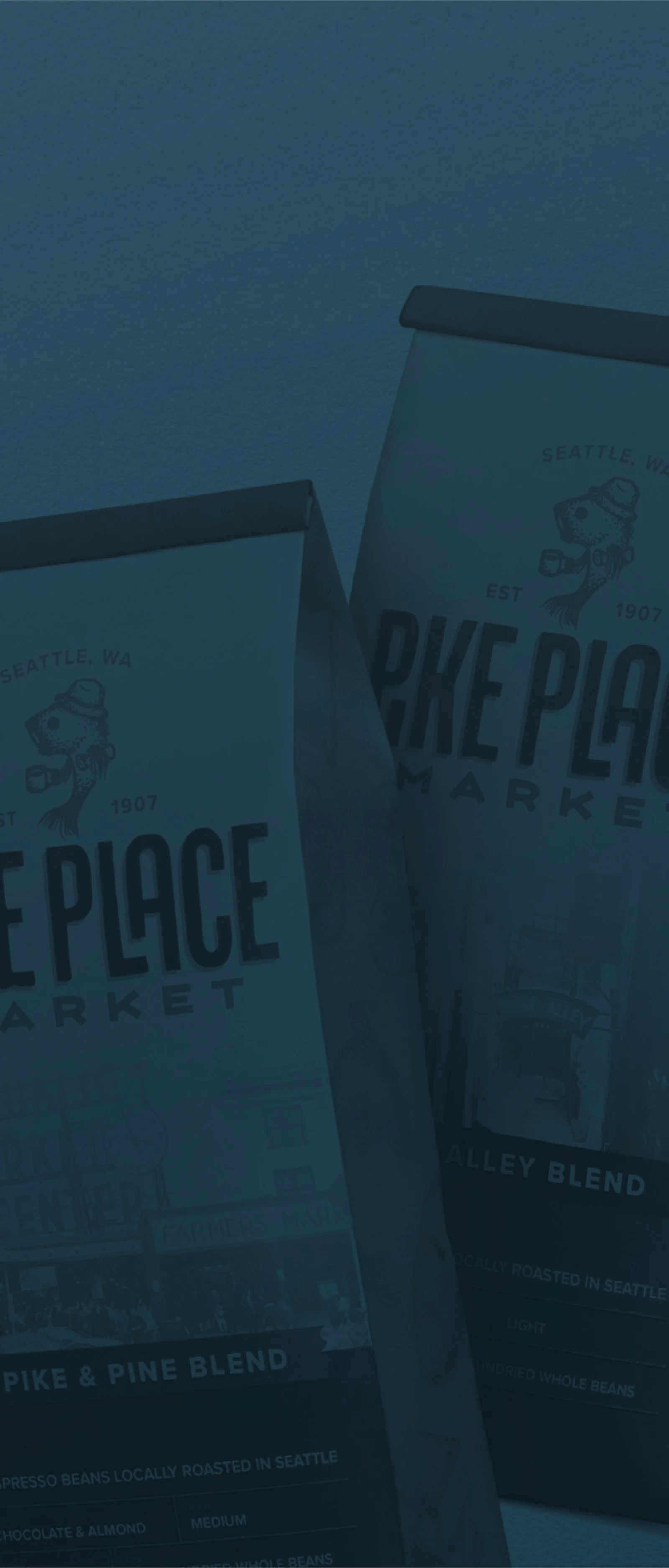 HOMEPAGE PROJECT PICS-04.jpg