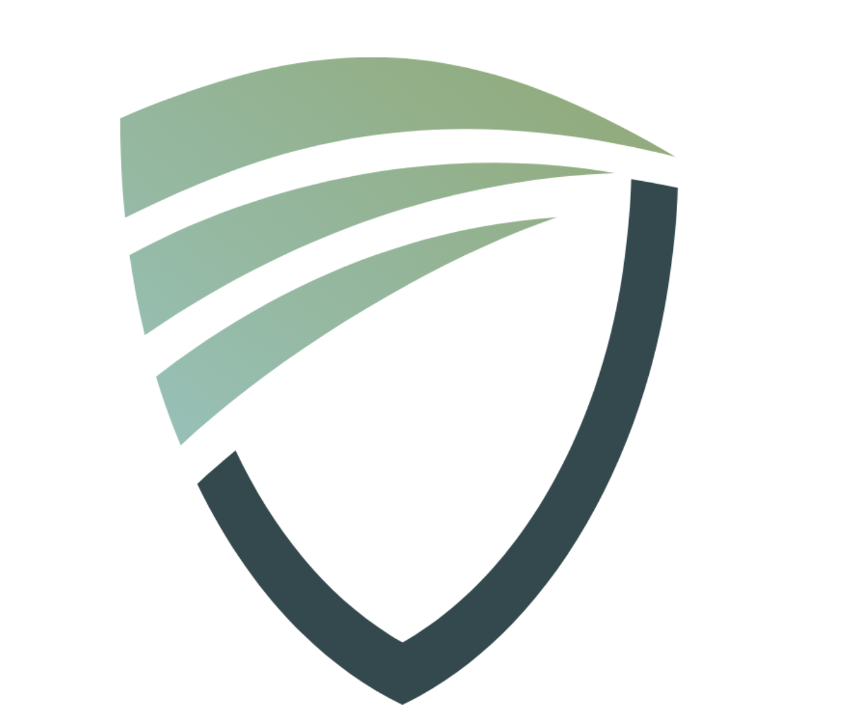 Abstract logo with a shield shape and curved lines.