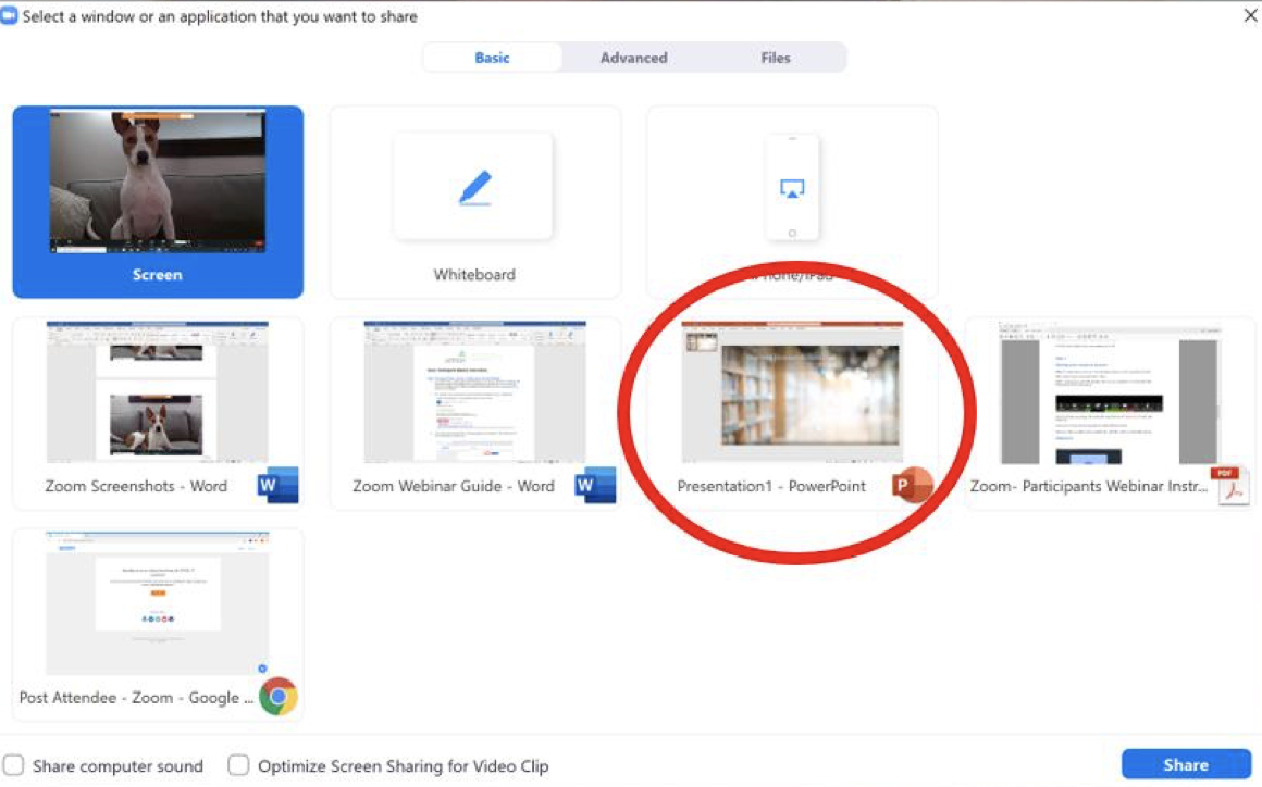 Zoom inar Panelist HowTo — New Jersey Historical Commission