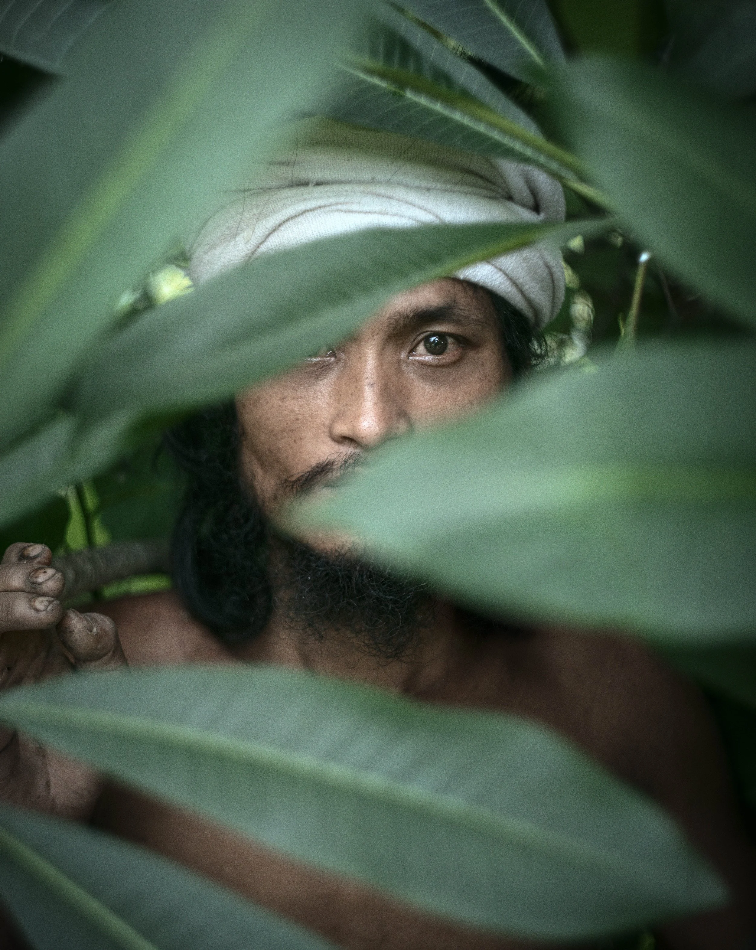 farmer-in-the-jungle-luang-prabang-laos.jpg
