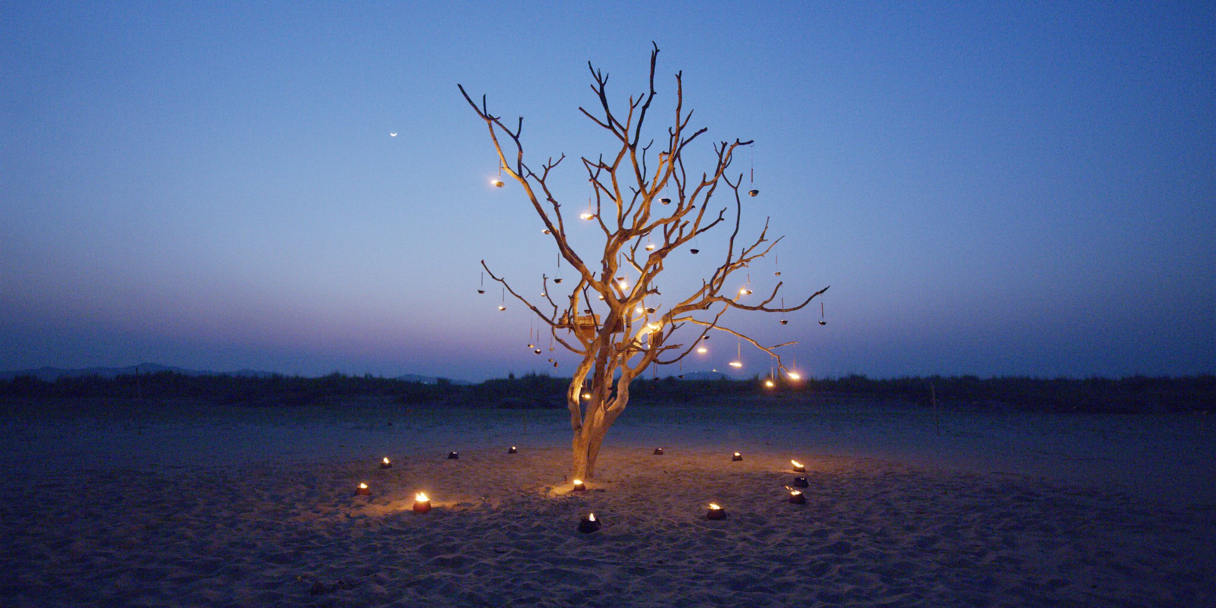 A077_C078_0601ZE.0000490 copy.jpg