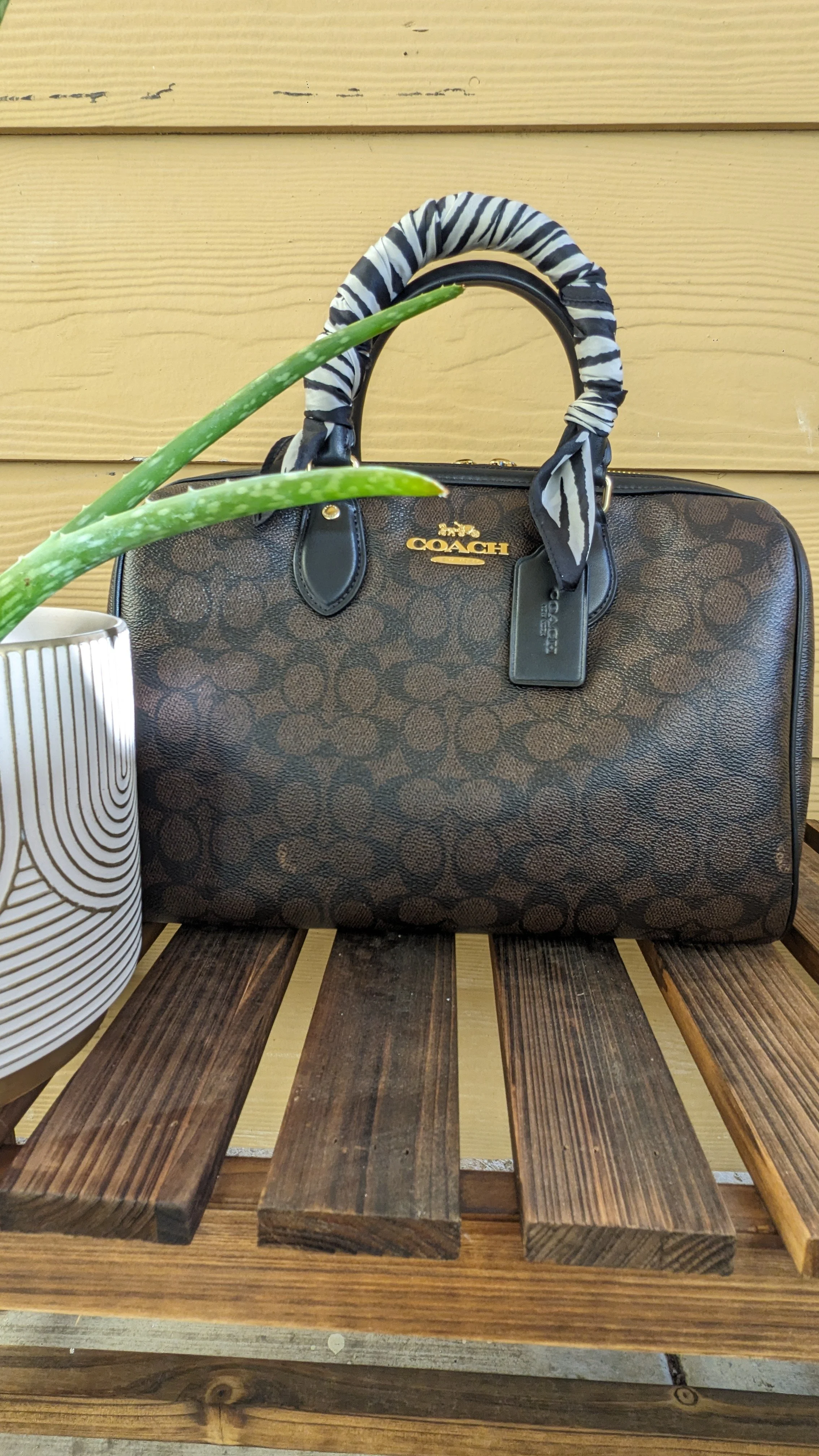 The Beauty of the Rowan 