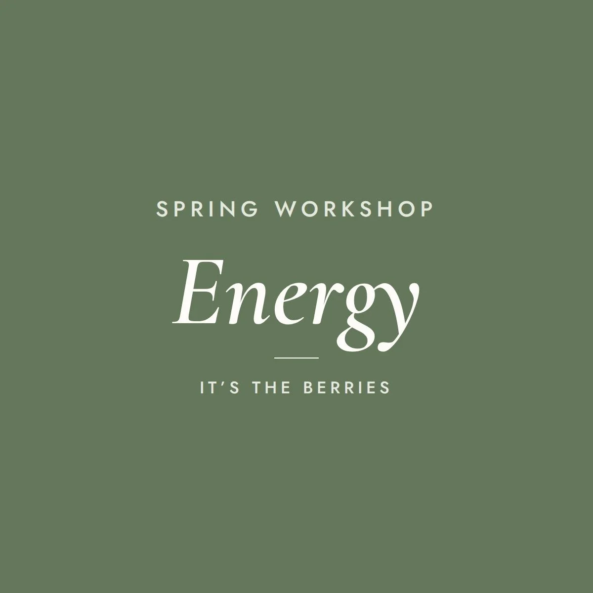 energy-workshop-spring.jpg