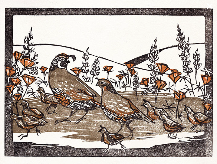 Quail Print.png