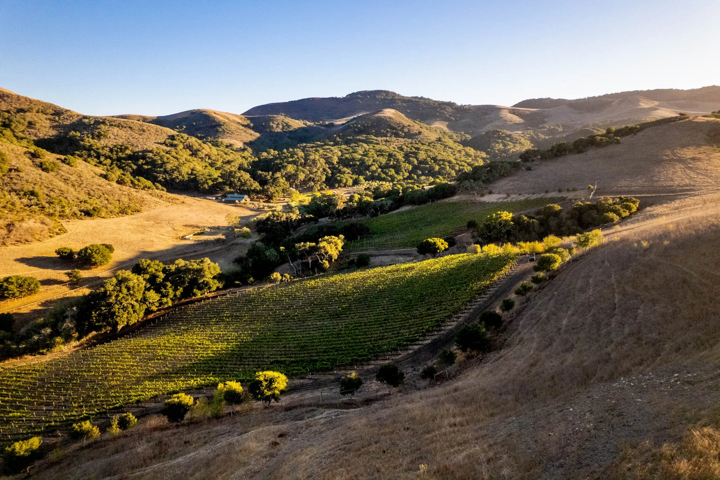 2022-09-21_JCR_Vineyard_Sunset_Drone_0002_2500px.jpg