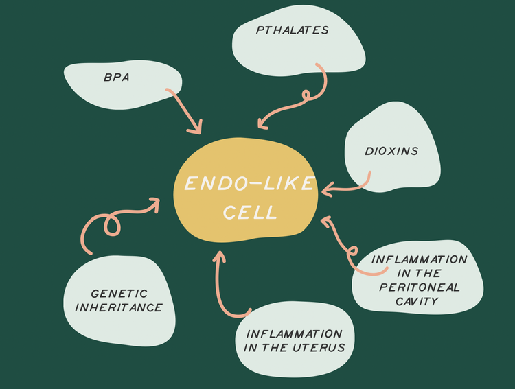 3 Short Videos on Endometriosis That Will Blow Your Mind — Core
