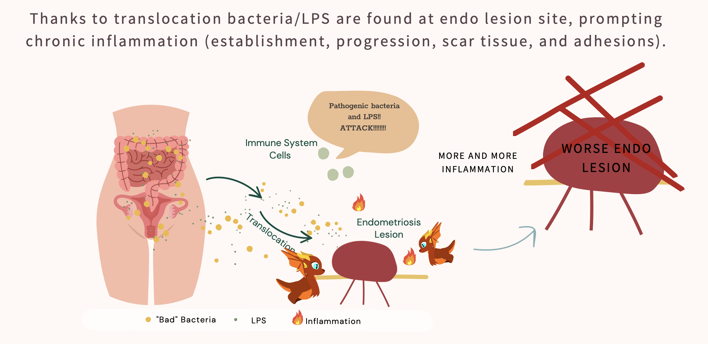 Understanding and Managing Endometriosis Symptoms — Core Recovery