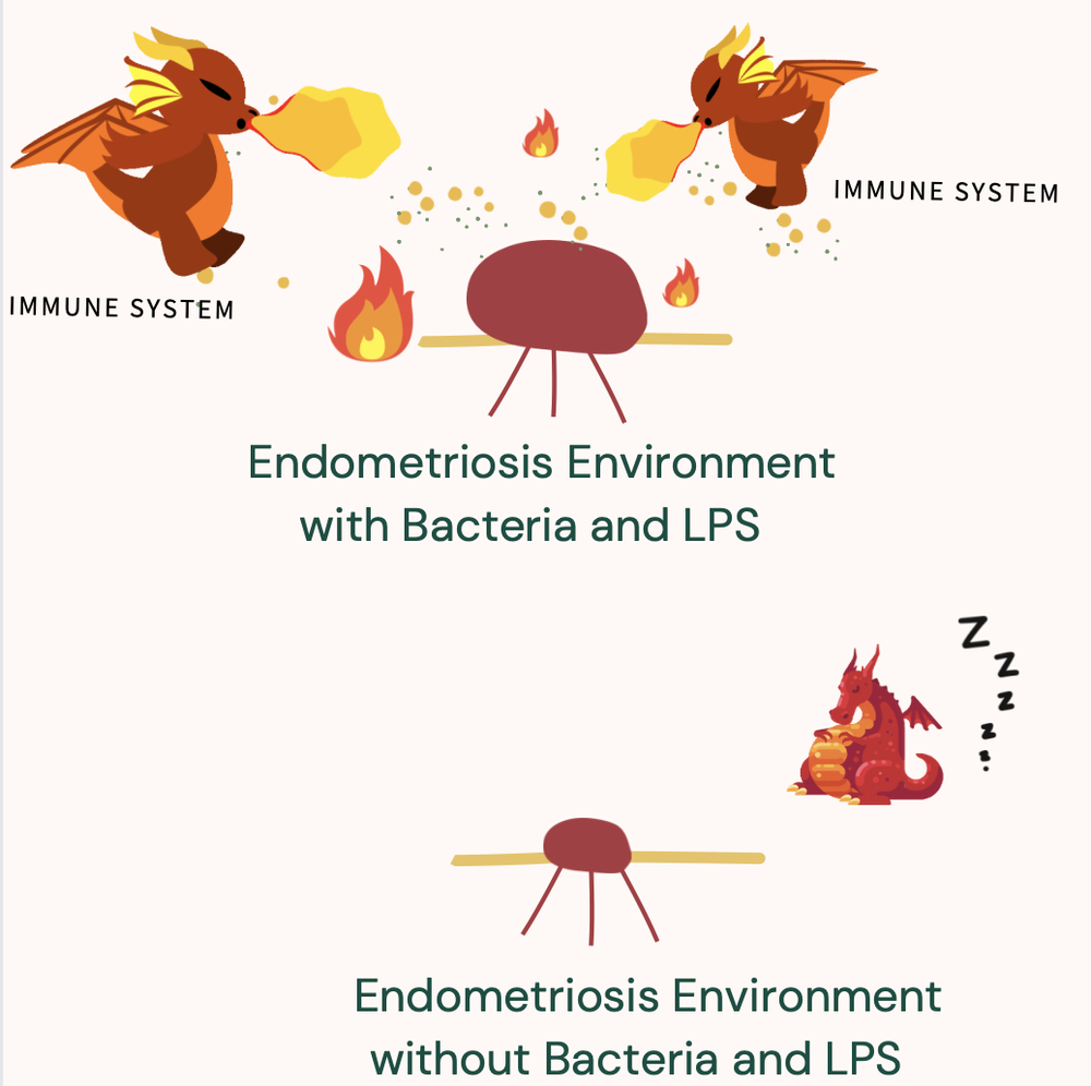 Understanding and Managing Endometriosis Symptoms — Core Recovery
