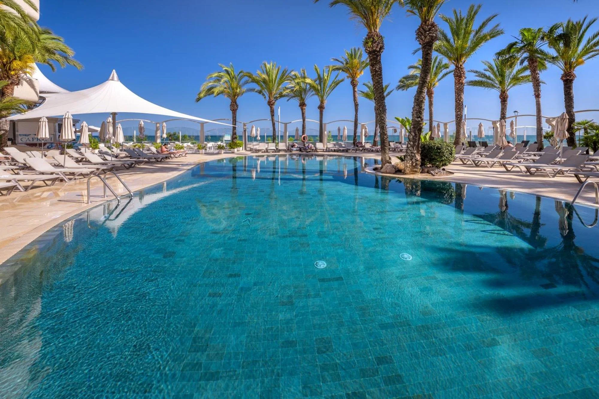 Piscina exterior de Caprici Beach Hotel & Spa con palmeras, hamacas y vistas al mar en Santa Susanna, Barcelona