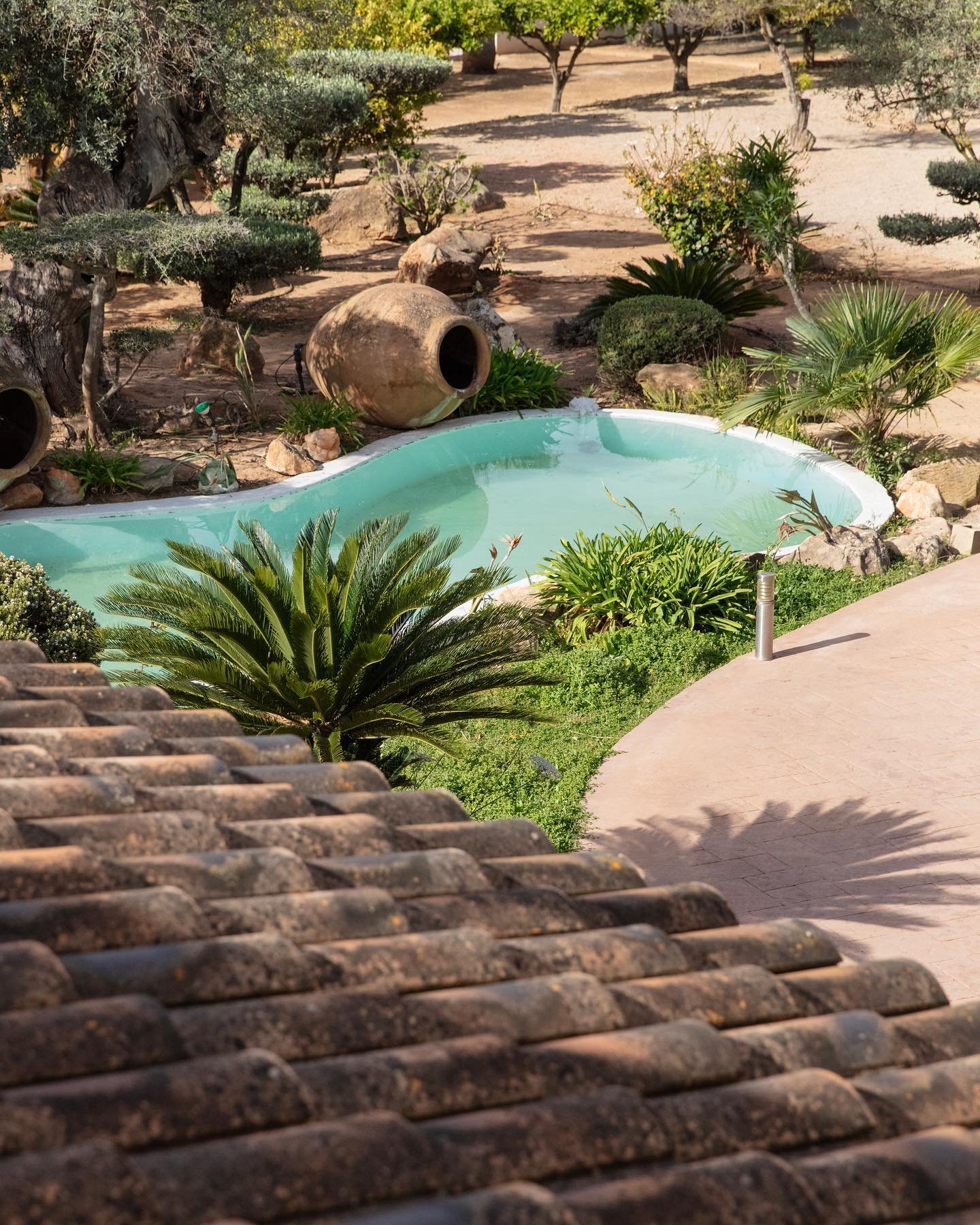 Jardín mediterráneo de Can Jaume con piscina de formas orgánicas, vasija de cerámica y palmeras, espacios exteriores