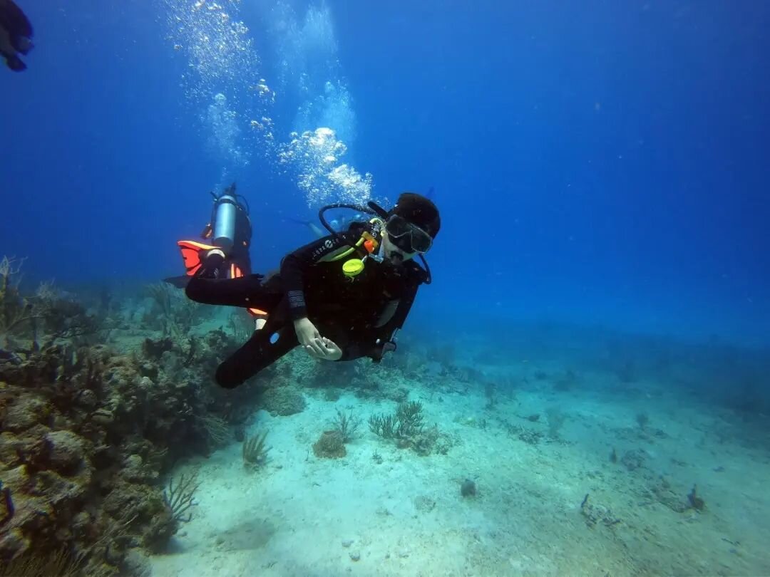 Never is too late to experience new things. 🤿🐠
.
.
.
#scubadiving #scuba #diving #dive #uwphoto #scubadiver #padi #scubadive #diver #marinelife #marine #divermag #scubalife #mexico #rivieramaya #caribemexicano #caribbean #playadelcarmen #Scubadivin
