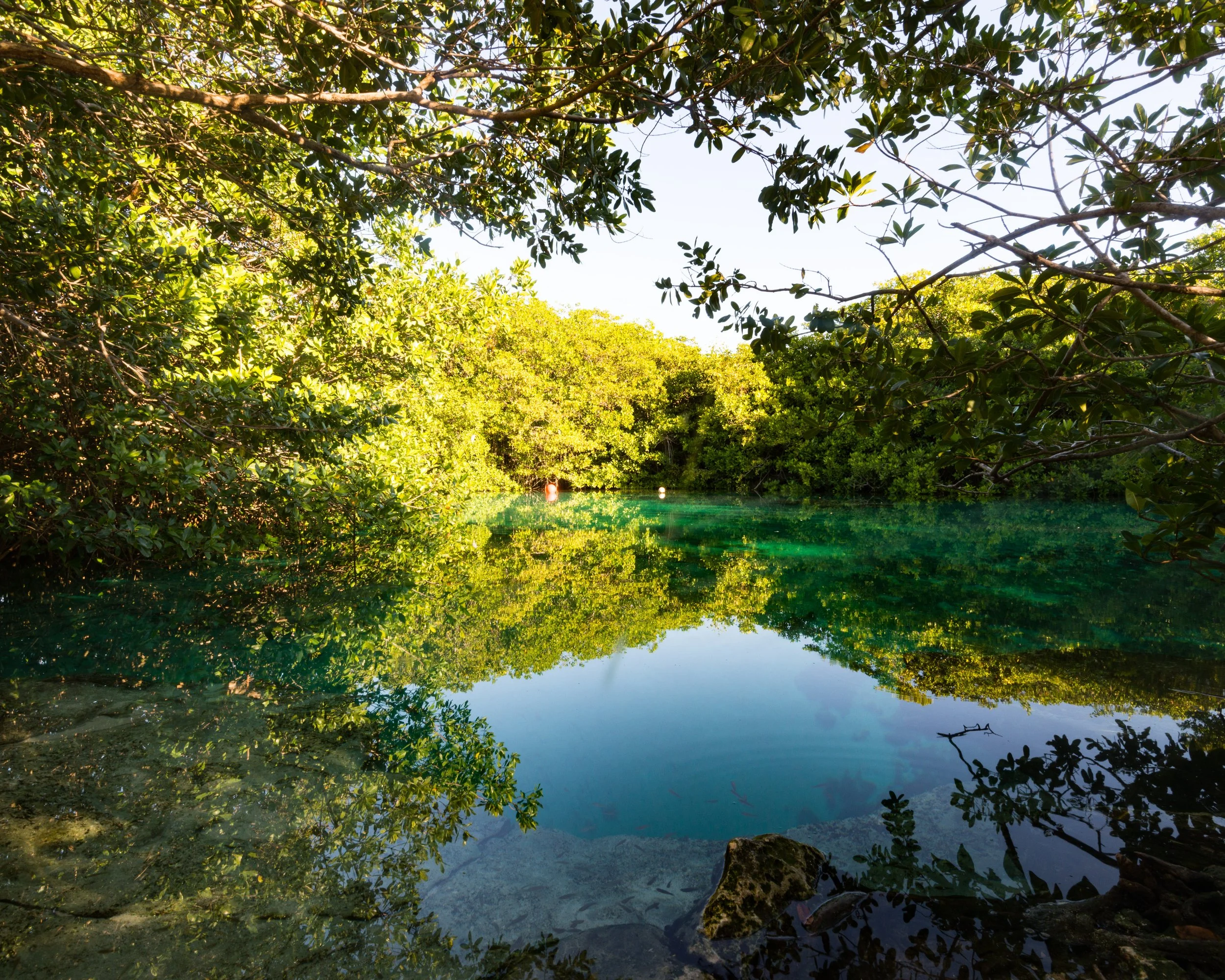 01-21-19 - Casa Cenote - Angelita-3 (1).jpg