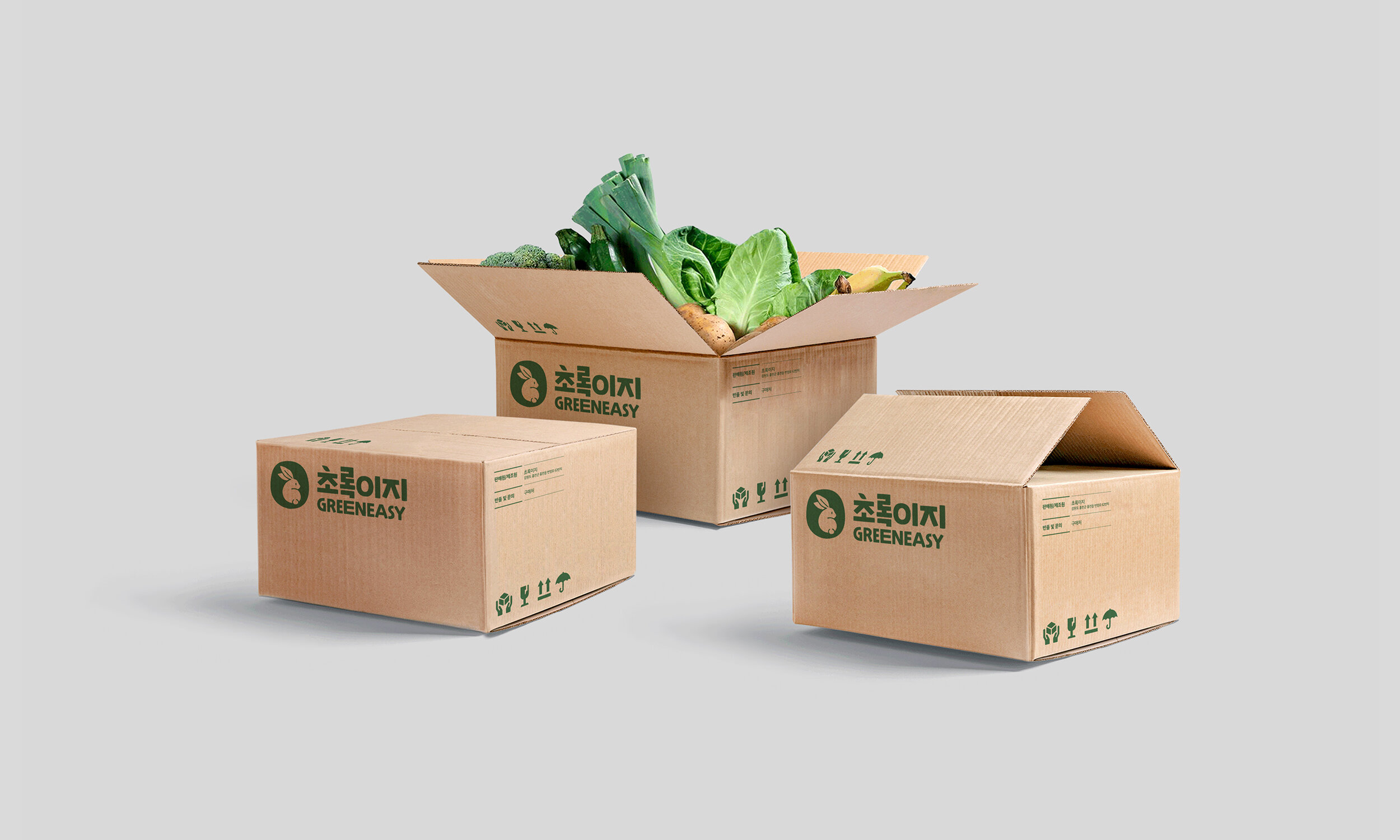Greeneasy_BI_03.jpg