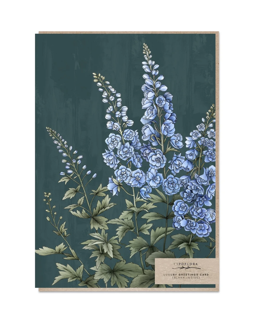 Blank Card - Delphinium