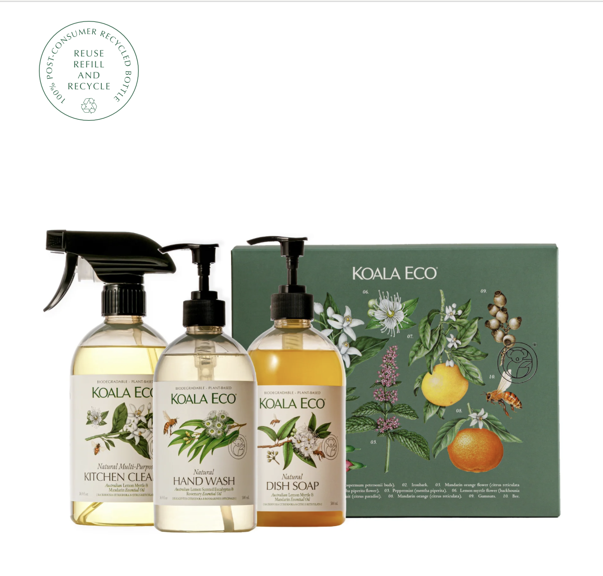 Koala Eco Nature Studies Gift Pack