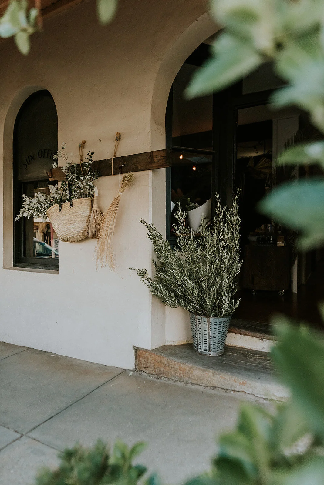 Gallery 3 — Thistle & Fern Albury Wodonga Florist Flowers & Gifts