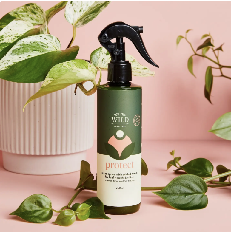 Protect Spray with Neem - We the Wild