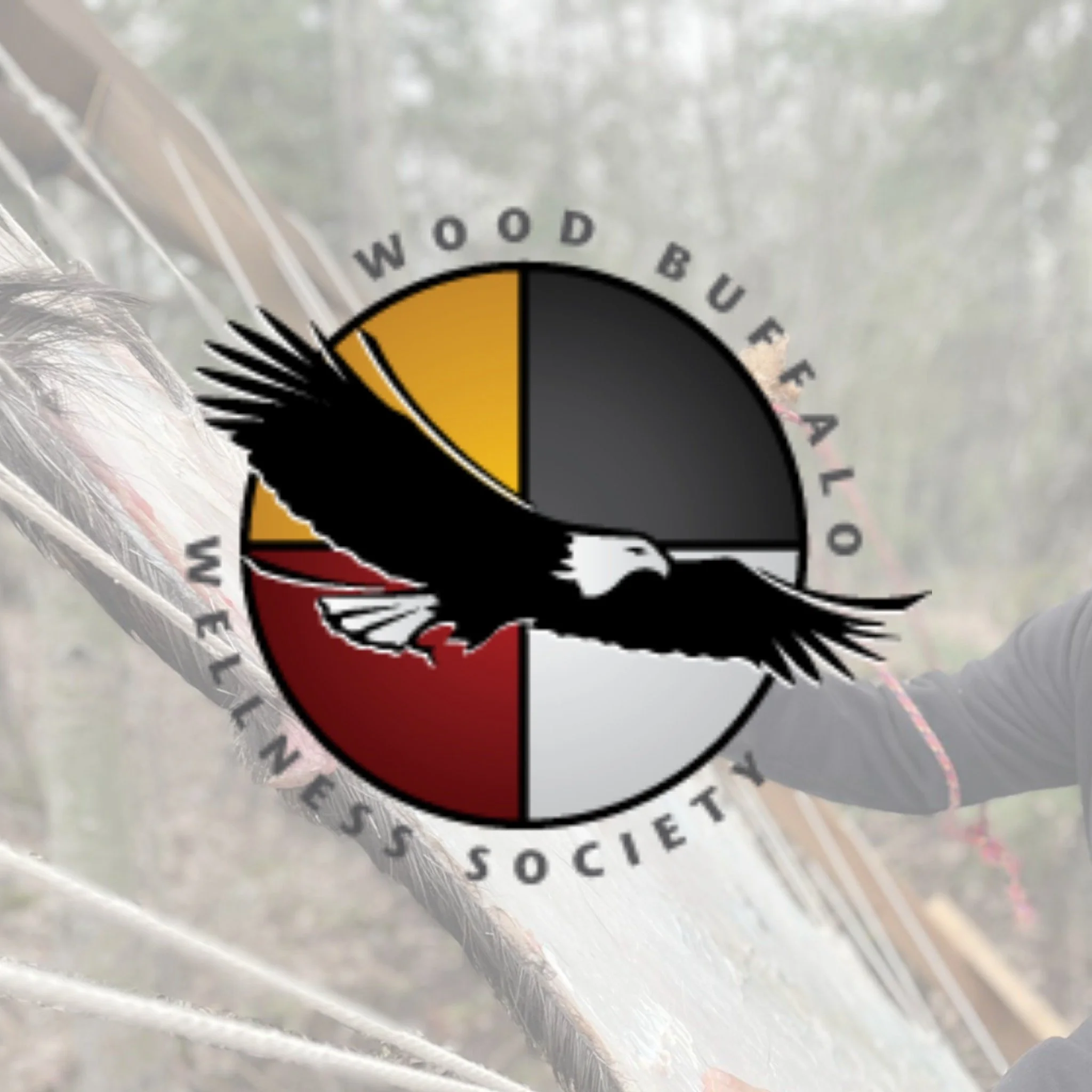 WBWS - Addictions Outreach Program