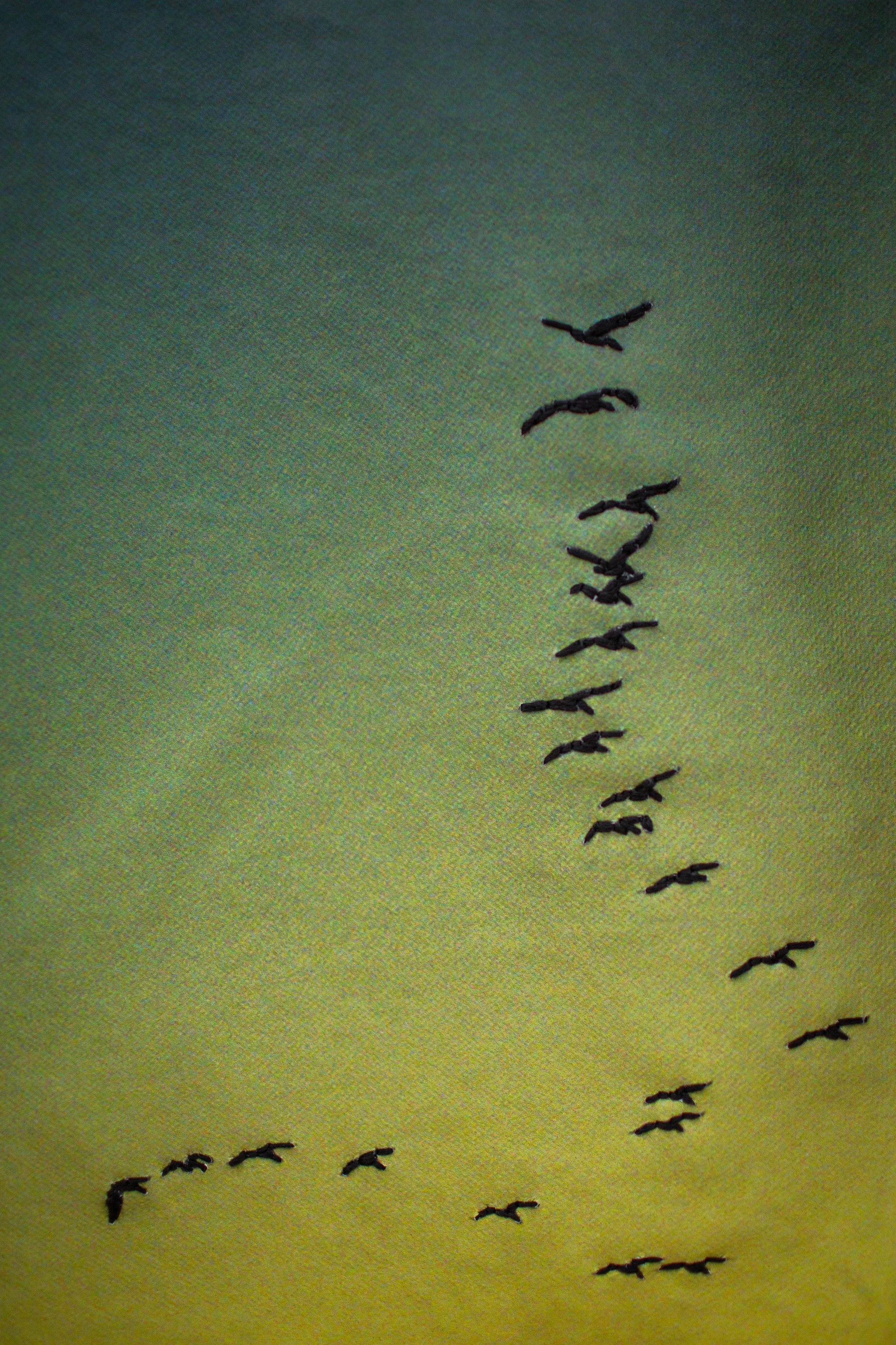 untitled-176.jpg