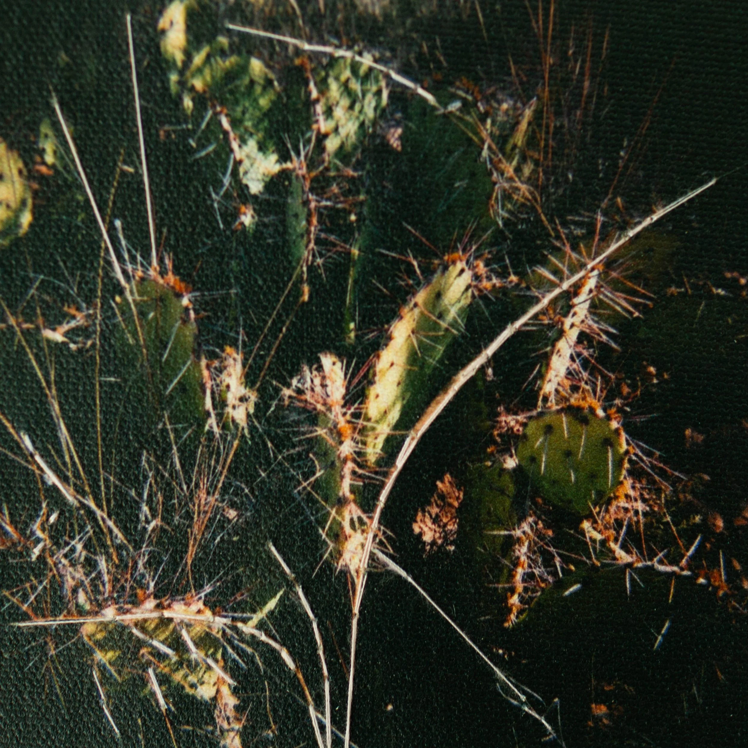 untitled-169.jpg