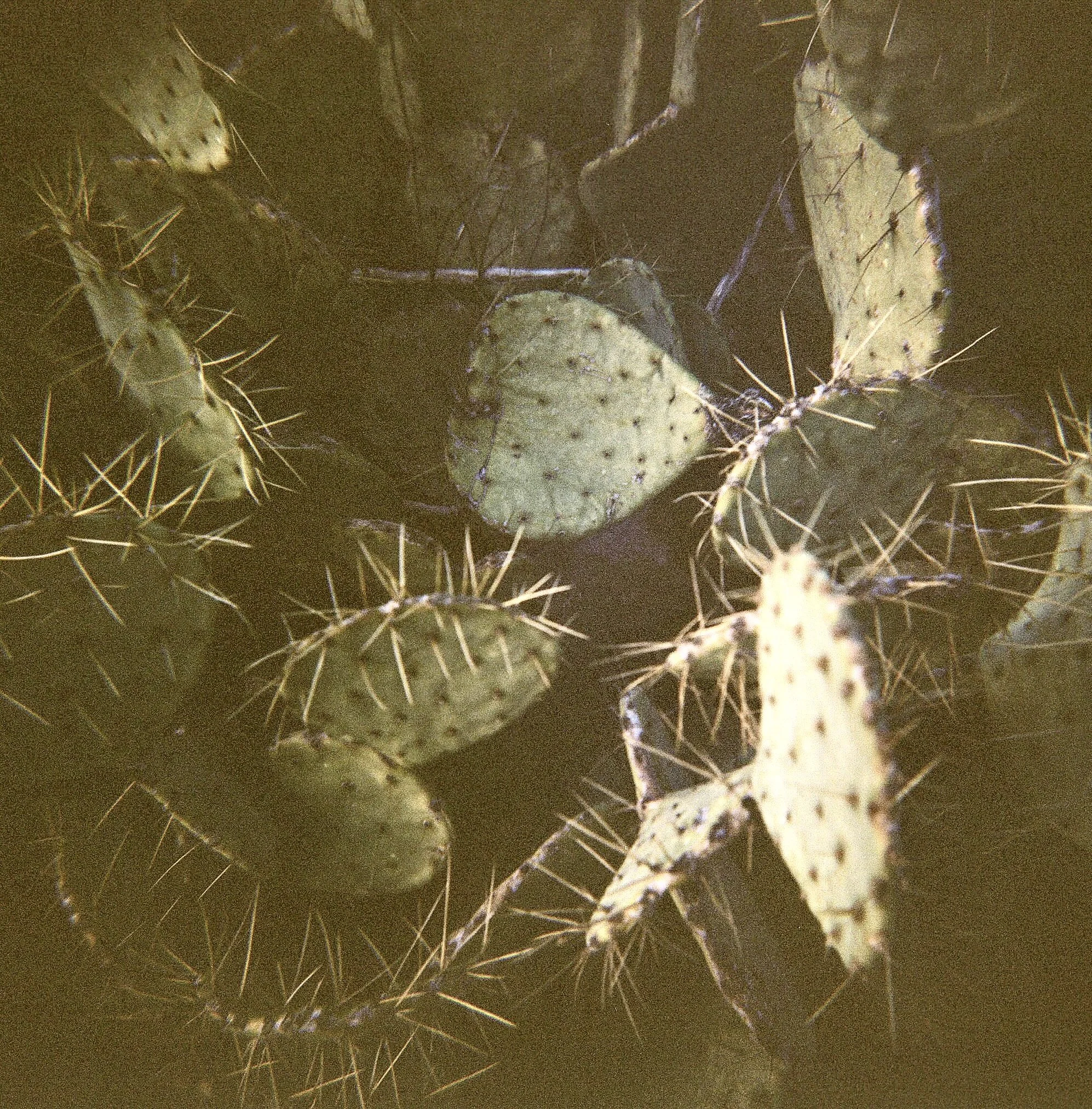 702828-2-0012 2.jpg