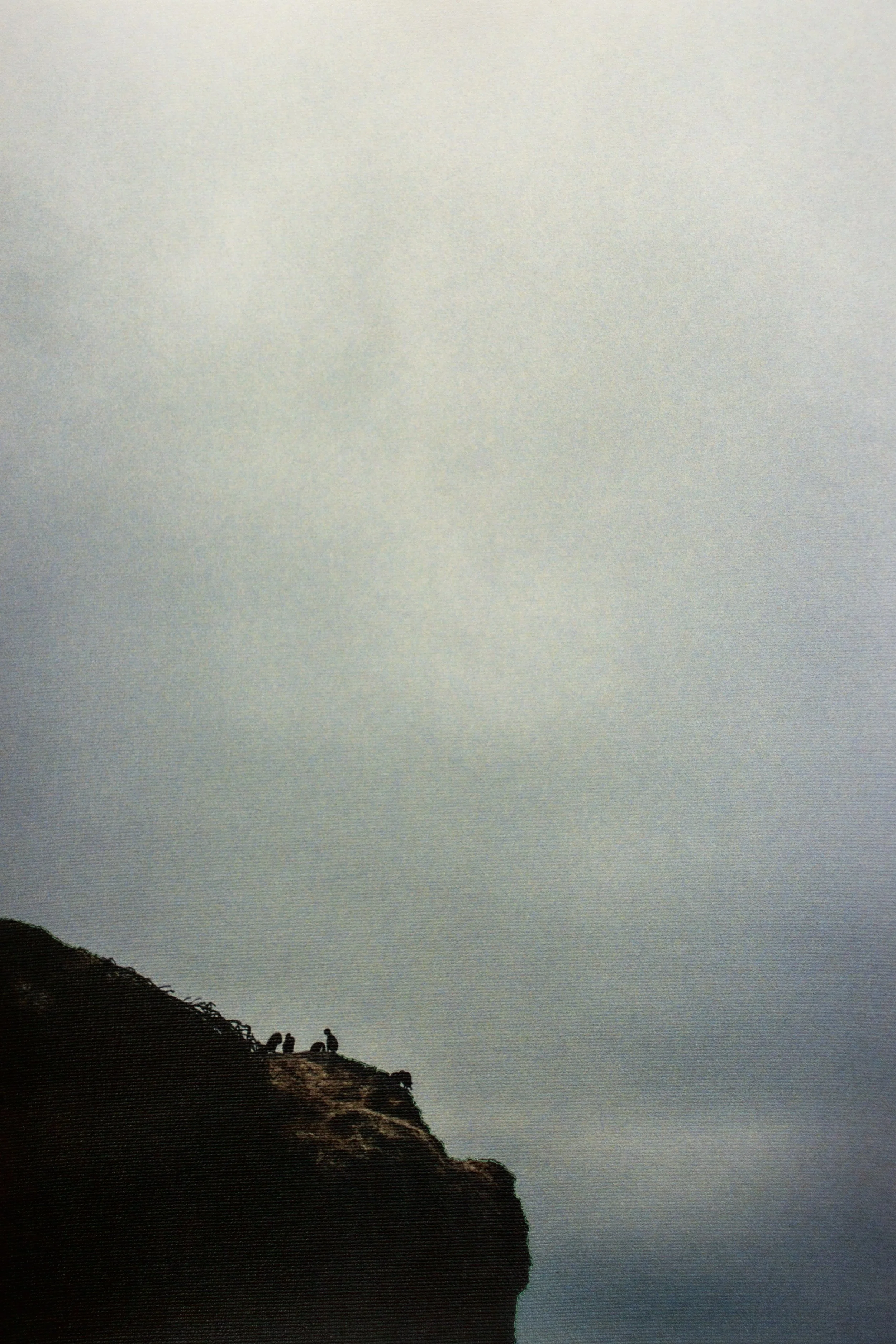 untitled-195-2.jpg