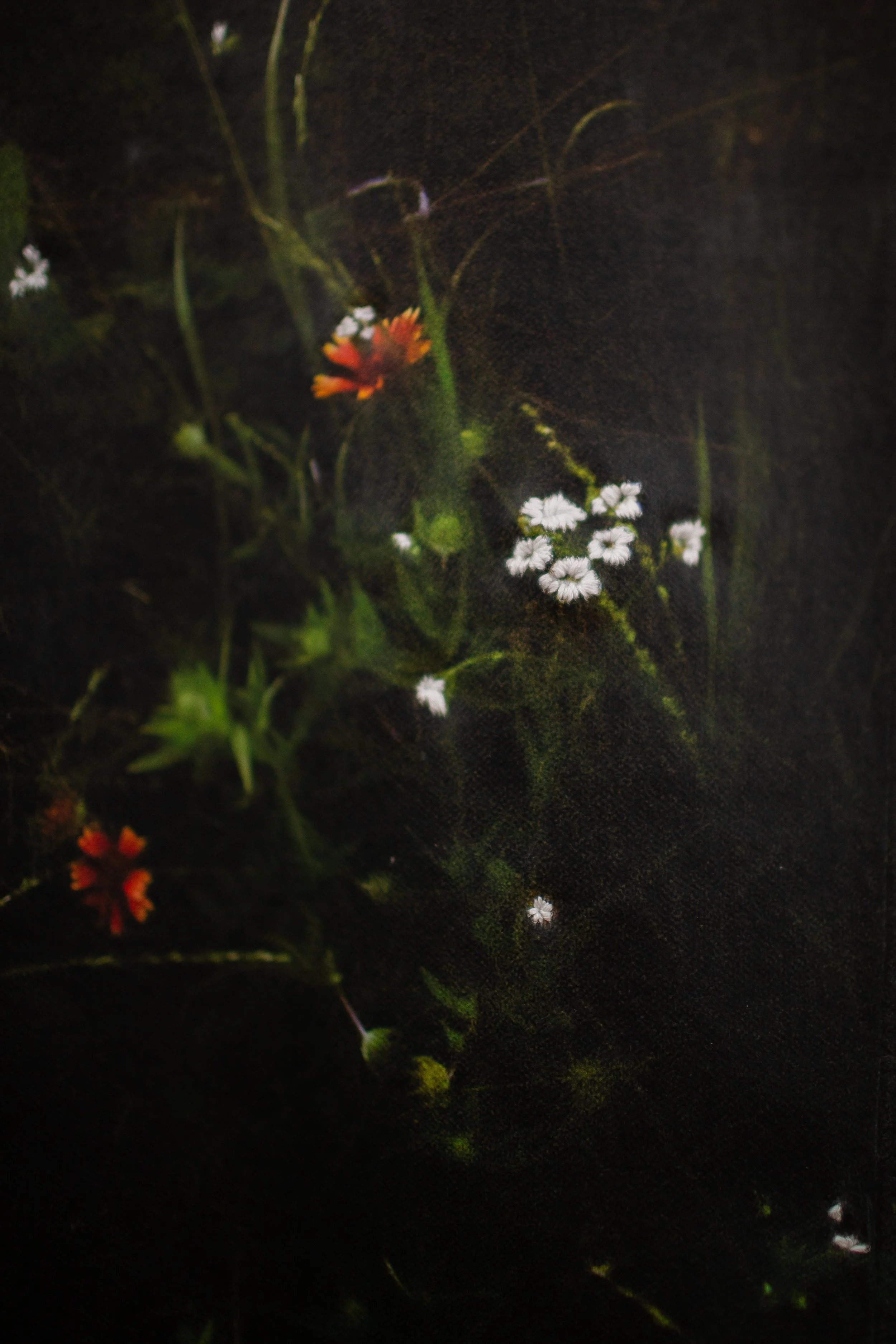 untitled-173.jpg