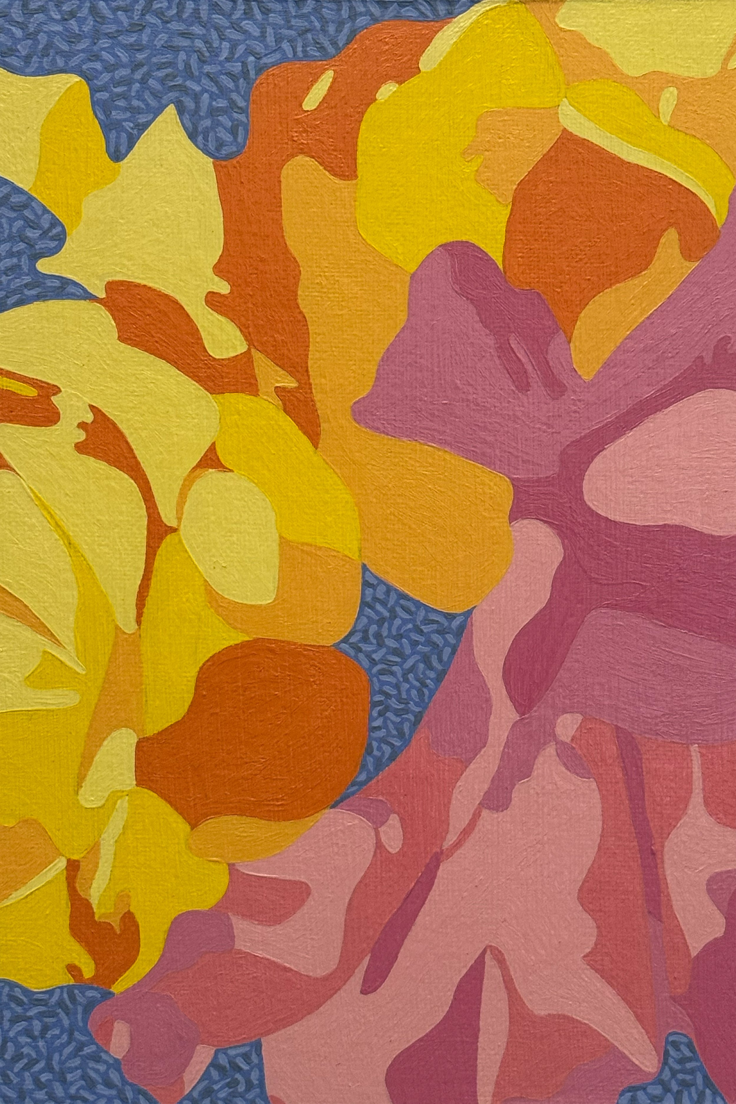 Rainbow Sorbet, 2026