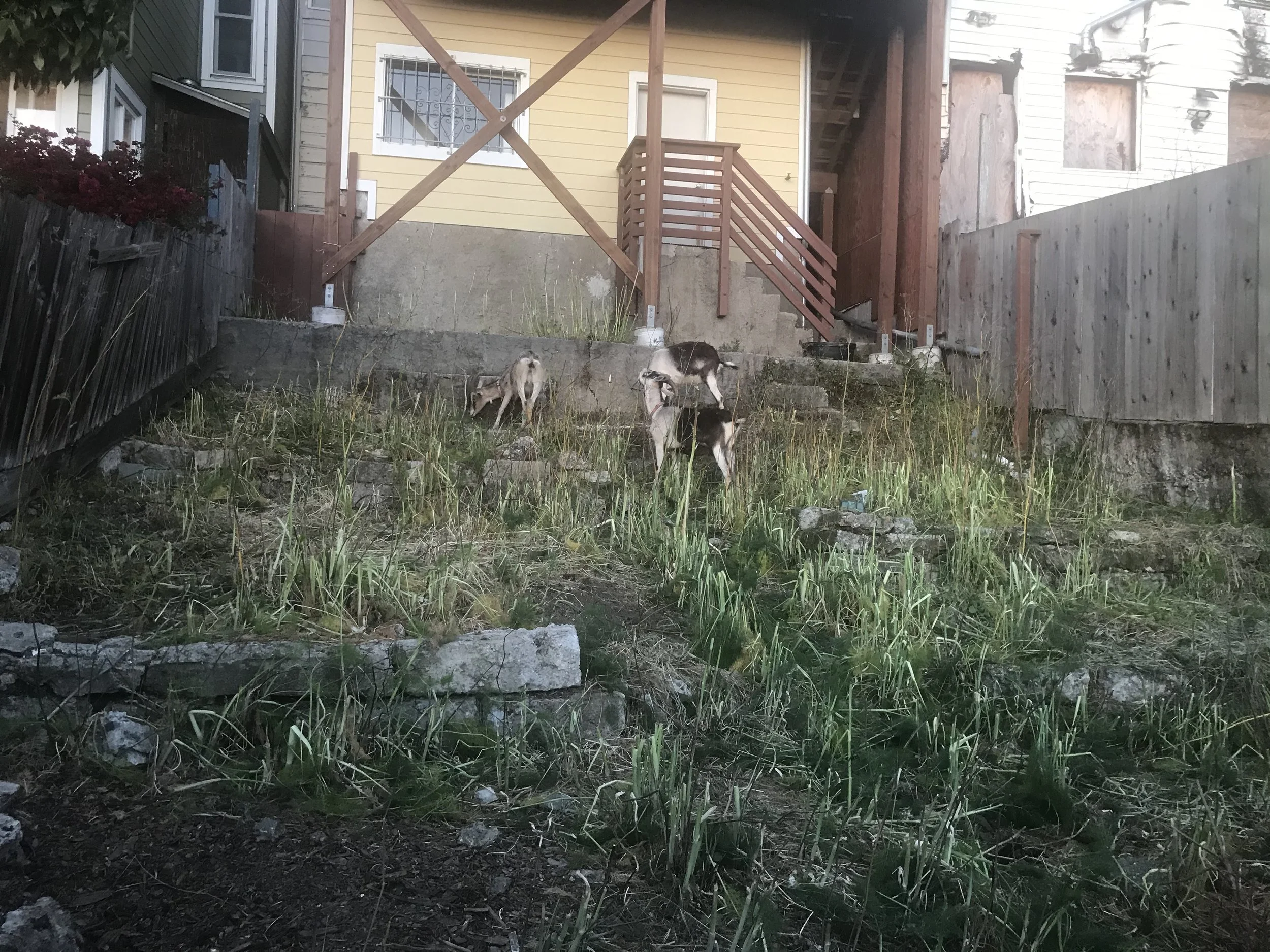 64179021879__312FE998-815D-4E3F-9649-82E503A06C7C (2).jpg