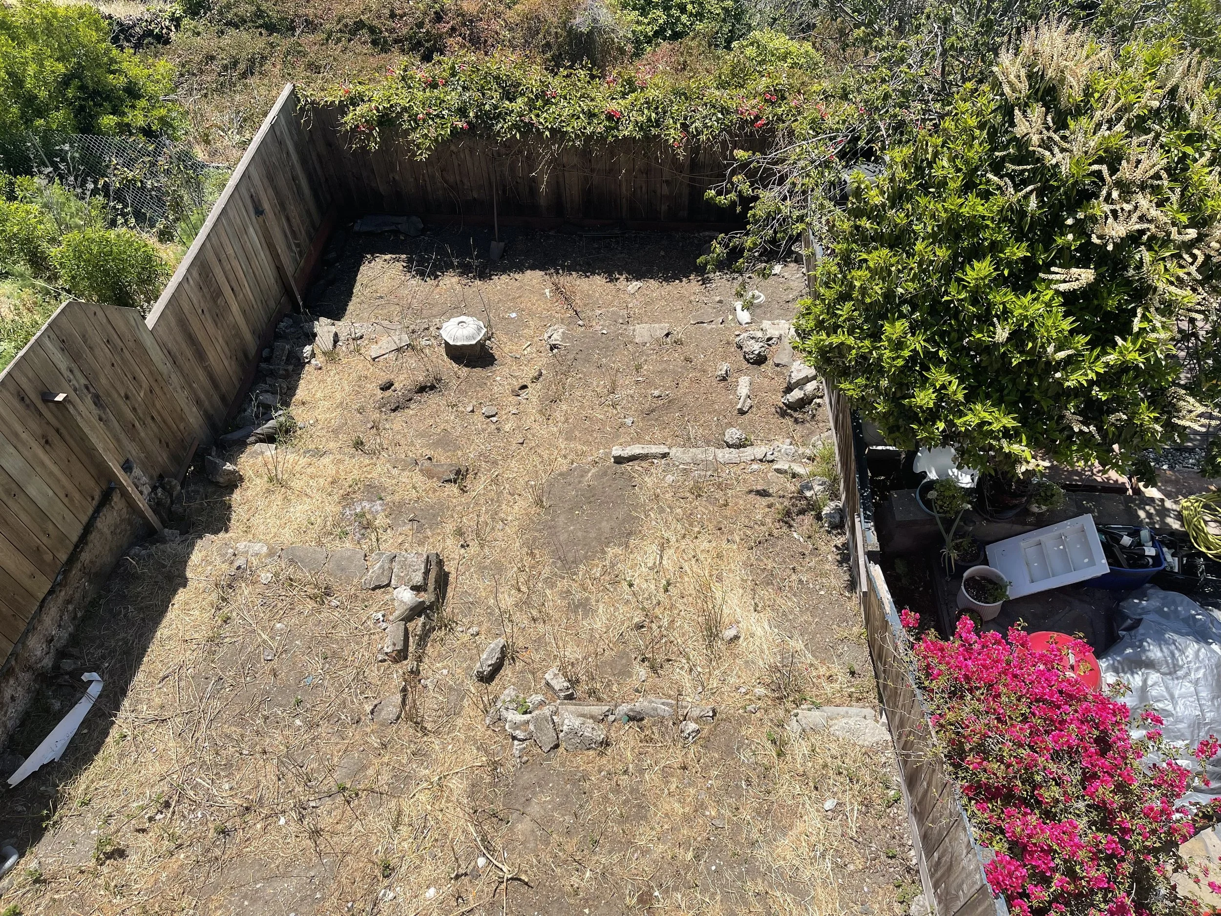 742_San_Bruno-backyar-1 .jpg