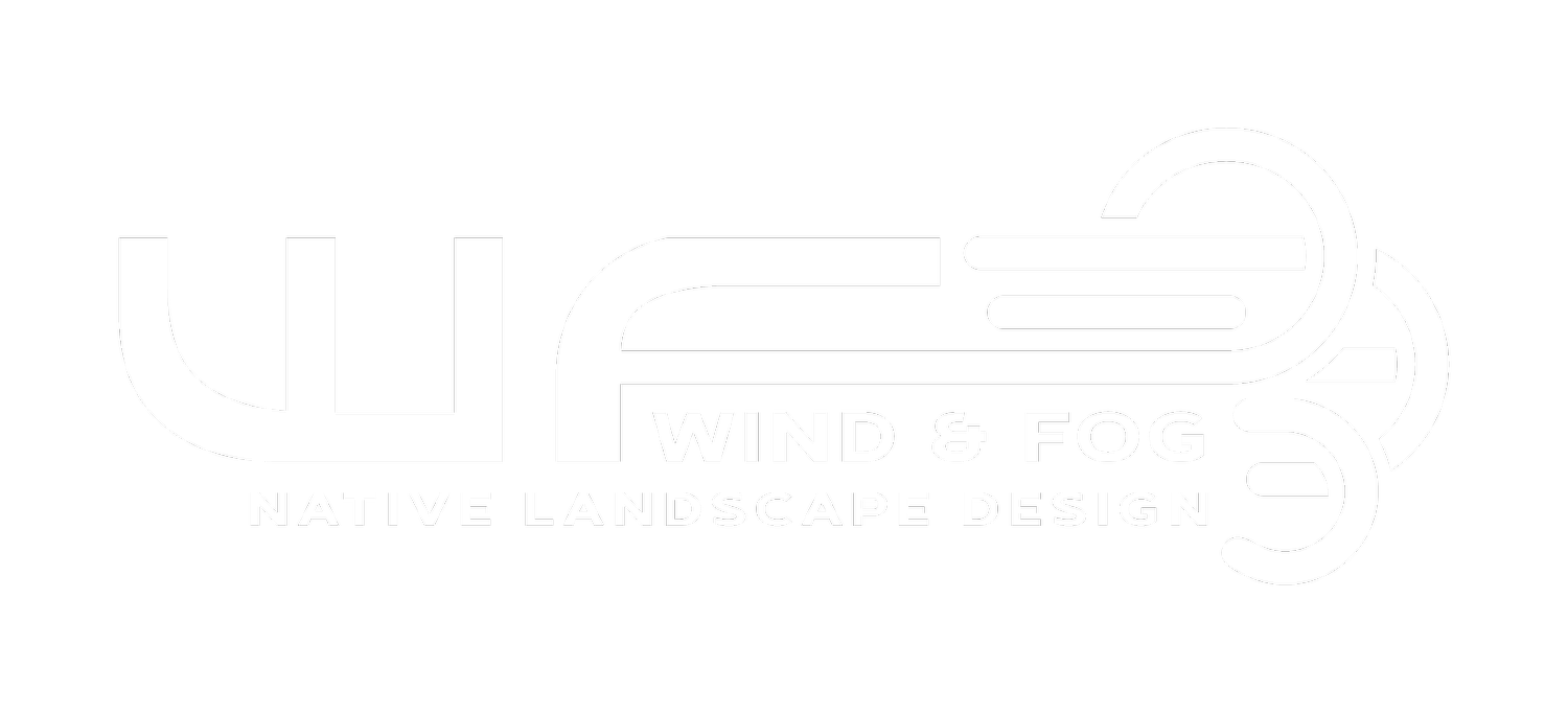 Wind and Fog Native Landscapes