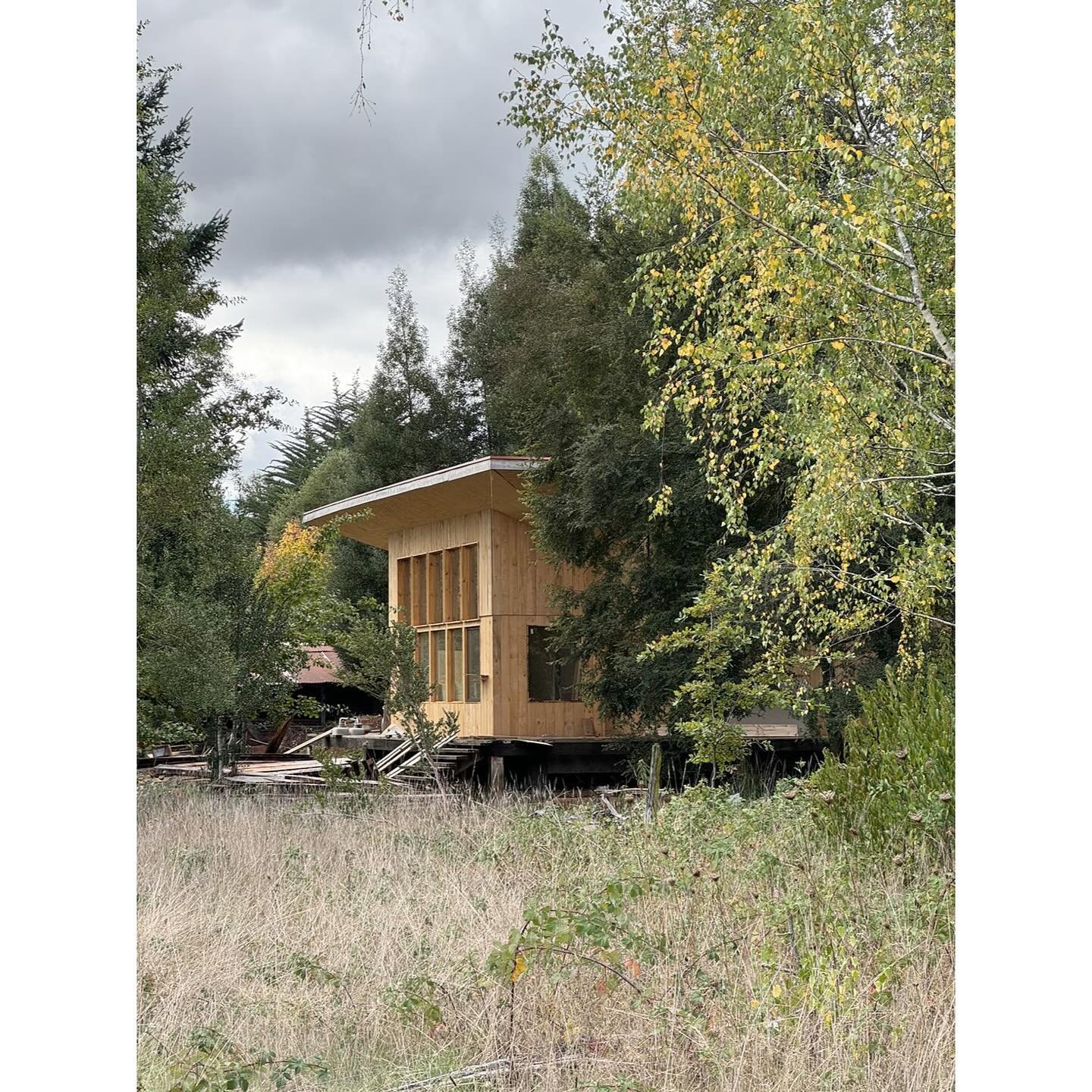AY. El Liuco, Gorbea, Chile
Casa Donguil - Site progress
.
.
.
#ampueroyutronic #timberarchitecture #rural #realestate #architecture #smallprojects #arquitecturaenmadera #arquitecturachilena #timberconstruction #sustainability #sustainableconstructio