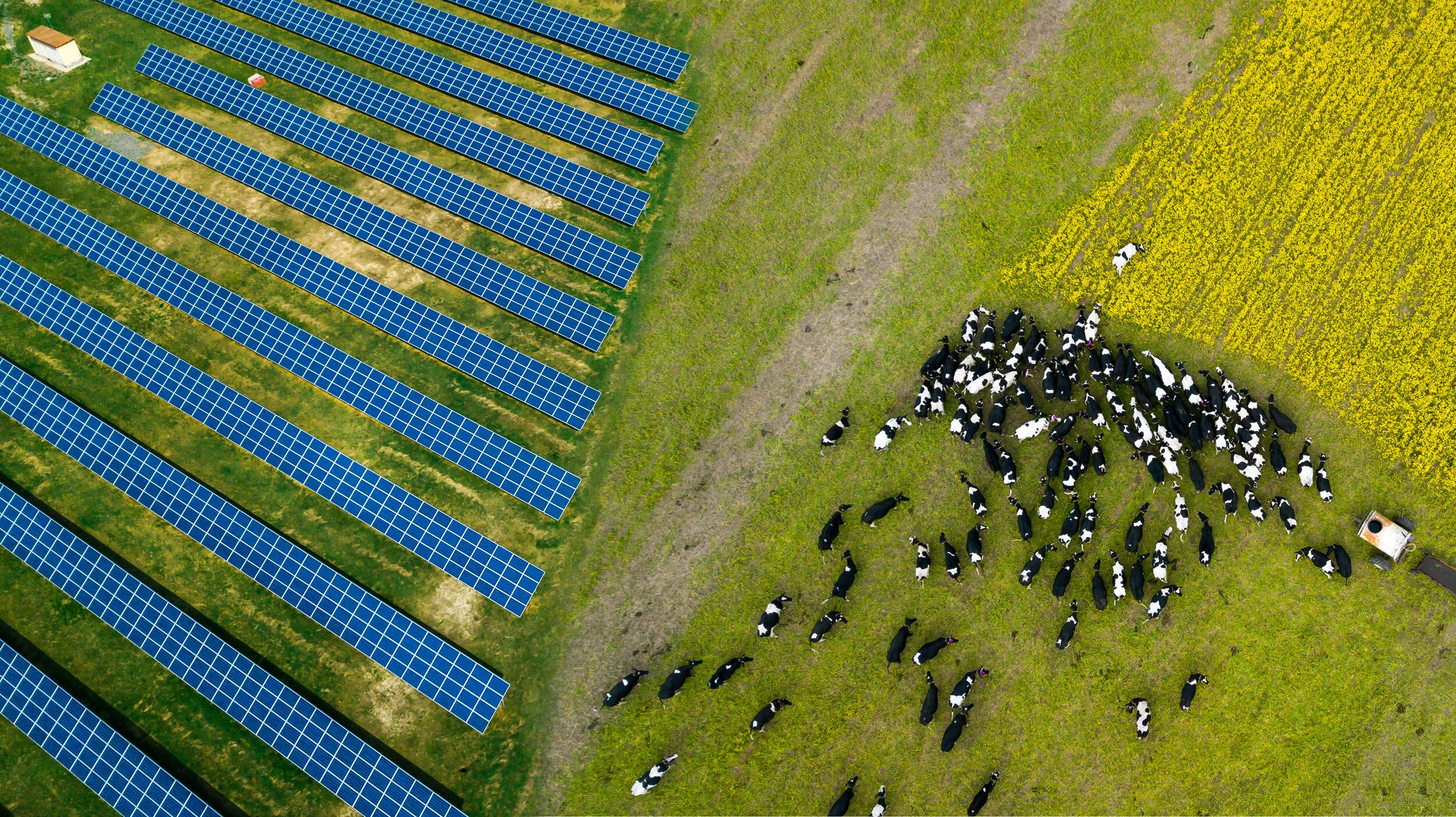 How do solar farms work? — Energy Farms