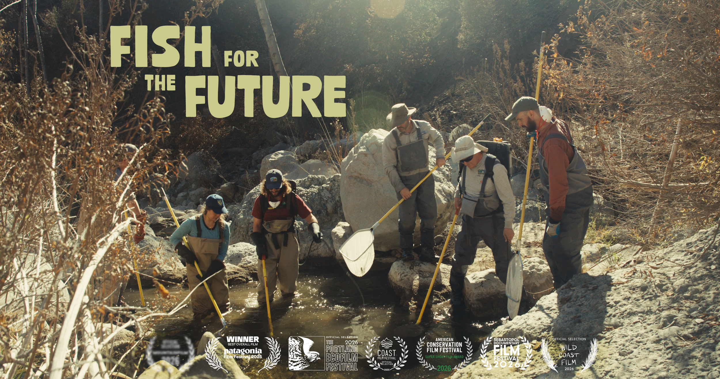 FFTF Thumbnail Poster.png