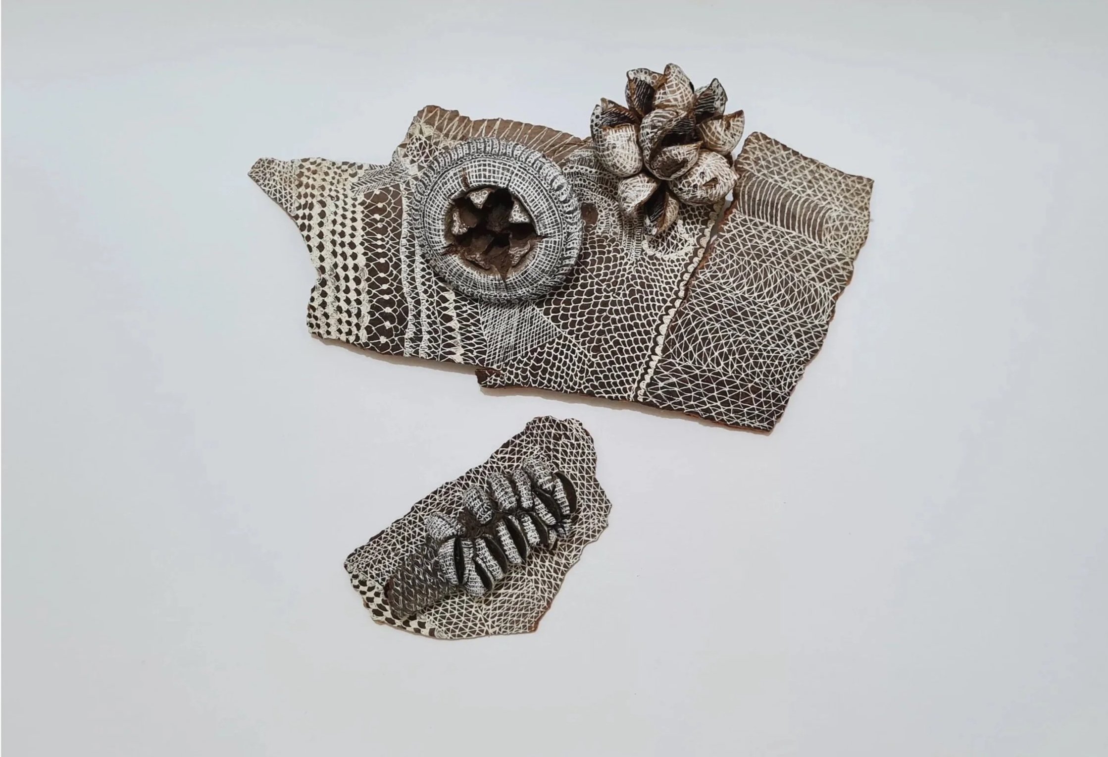 Fragility in Lace..., (2022), ink, seed pods and tree bark, 8 x 29 x 25cm (variable) - Finalist – Northern Beaches Environmental Art Prize 2023