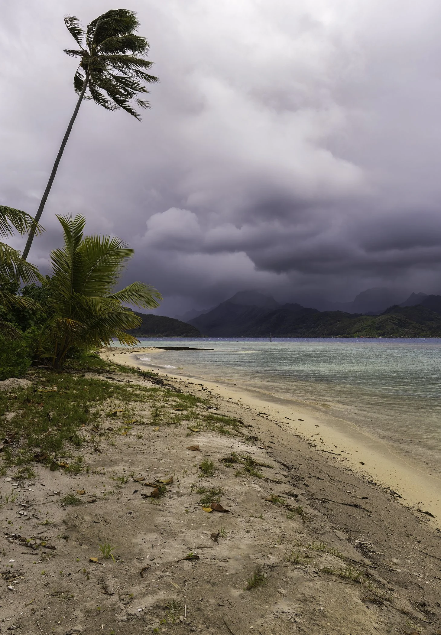 Polynesian Island, Moorea