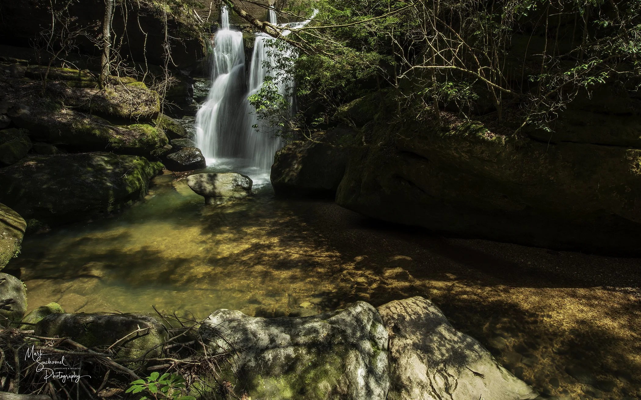 A small waterfall flows into a shallow, clear creek surrounded by moss-covered rocks and lush green trees.